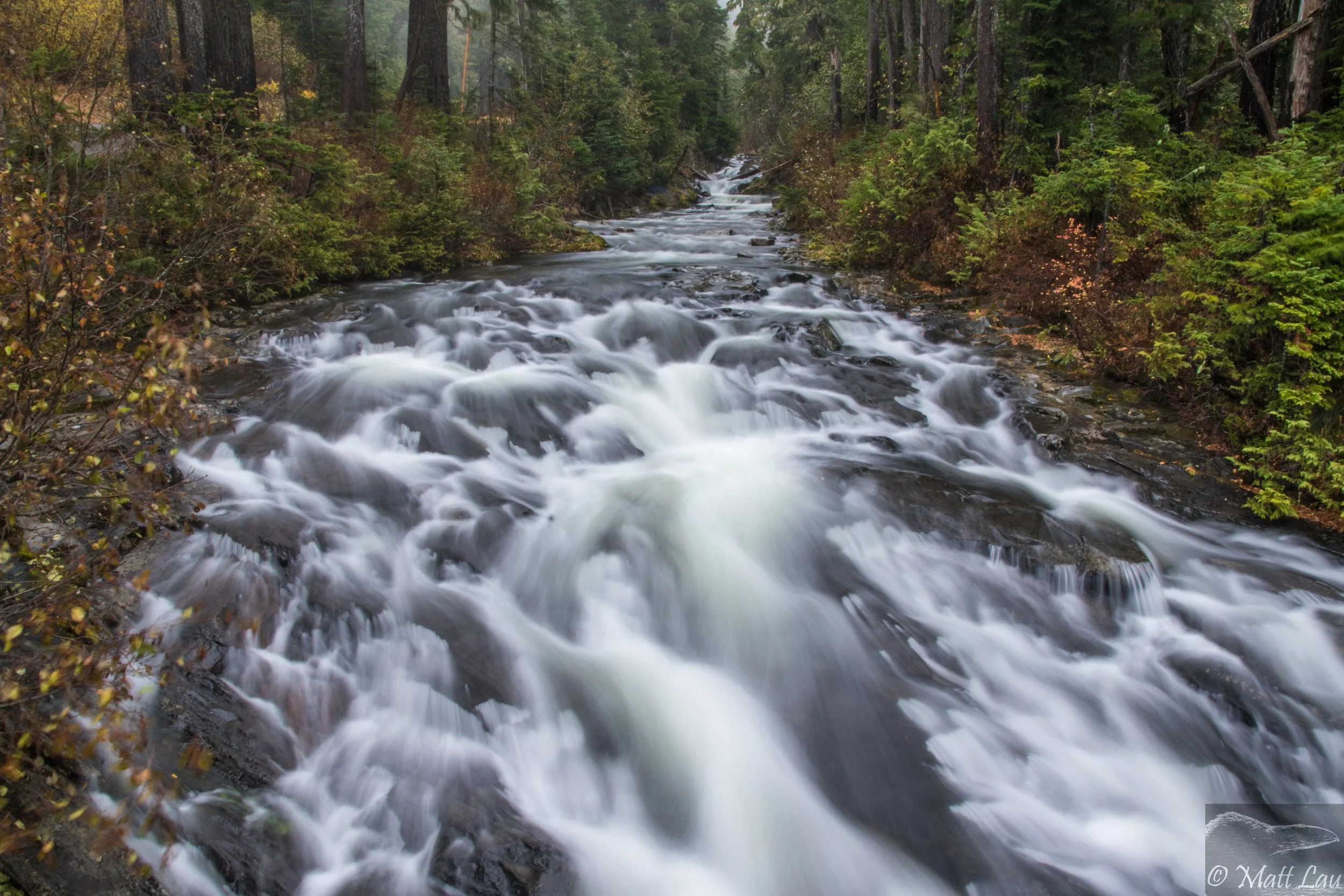 Rainier rapids.jpg