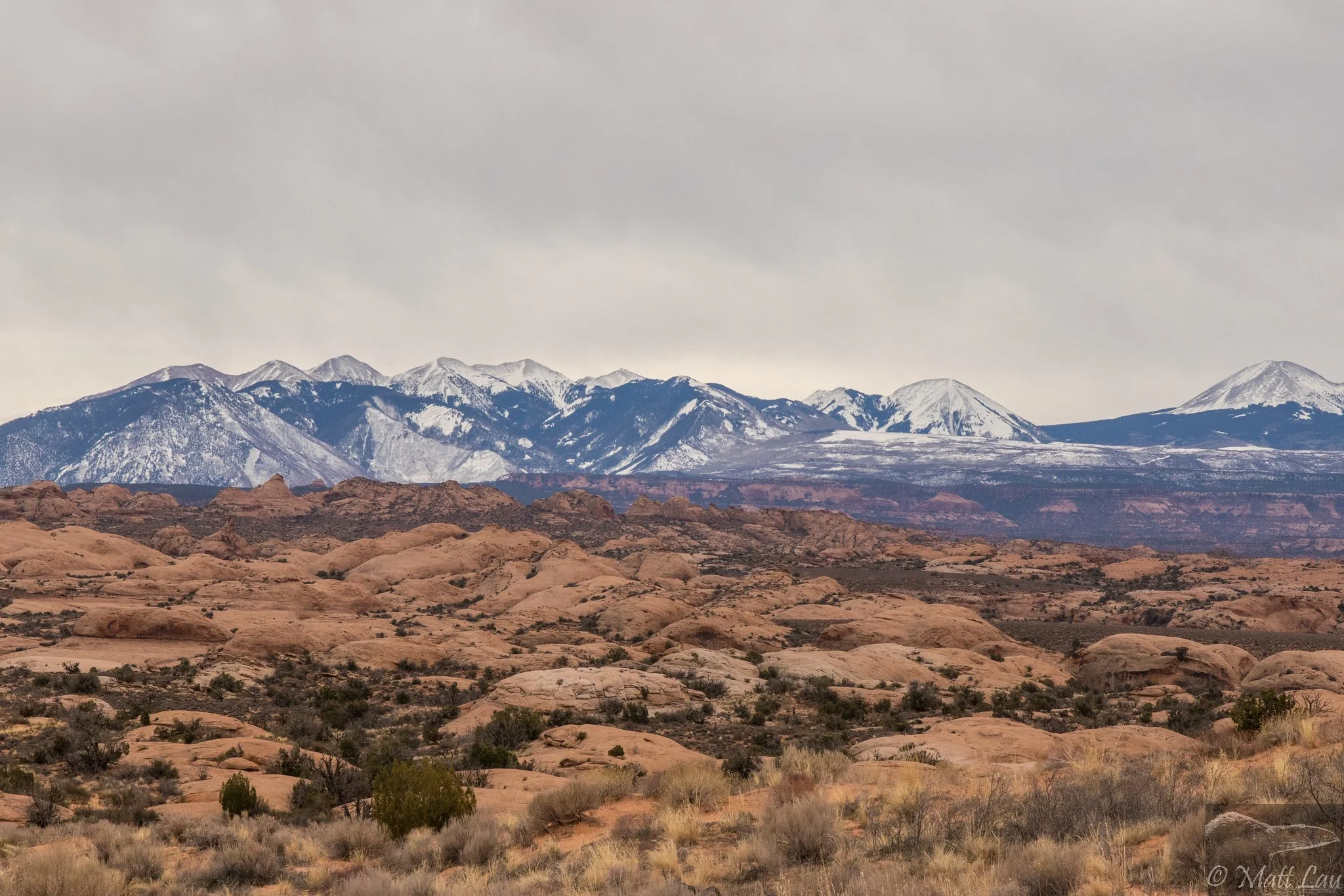Petrified Sand Dunes-X4.jpg