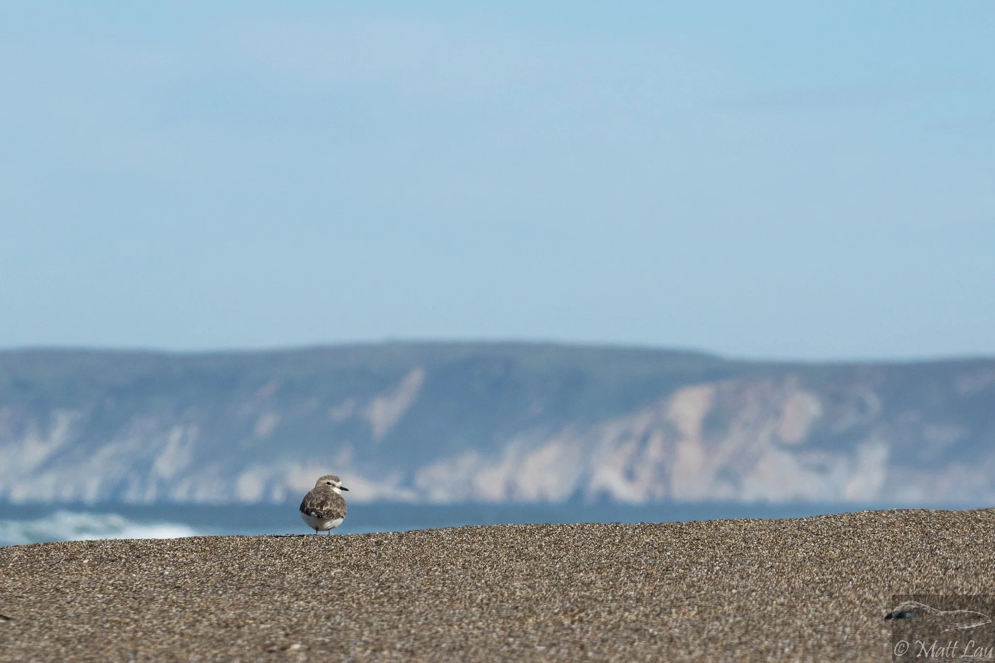 SNPL on the seashore-1-X4.jpg