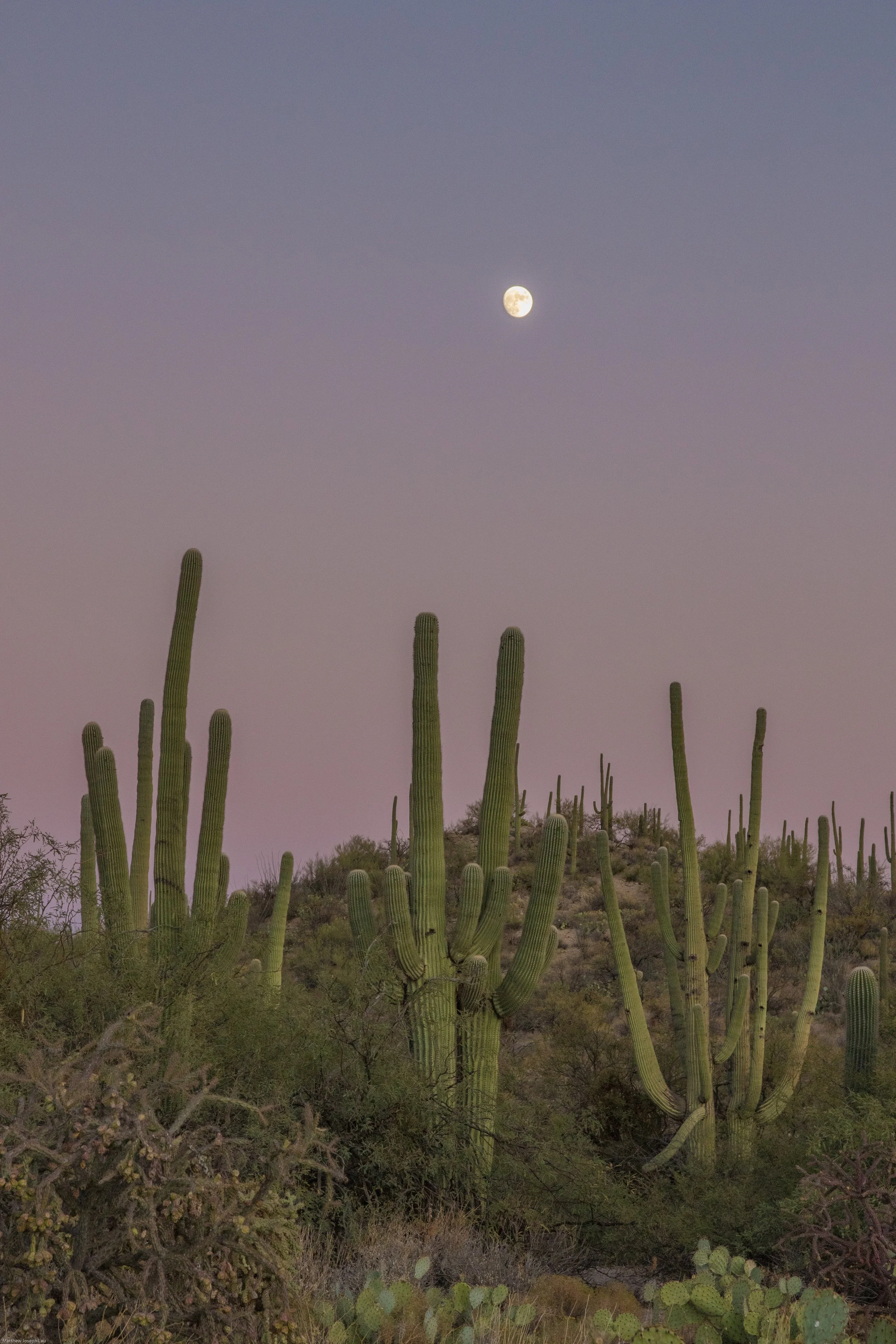 Sabino Sunset (1 of 1)-2.jpg