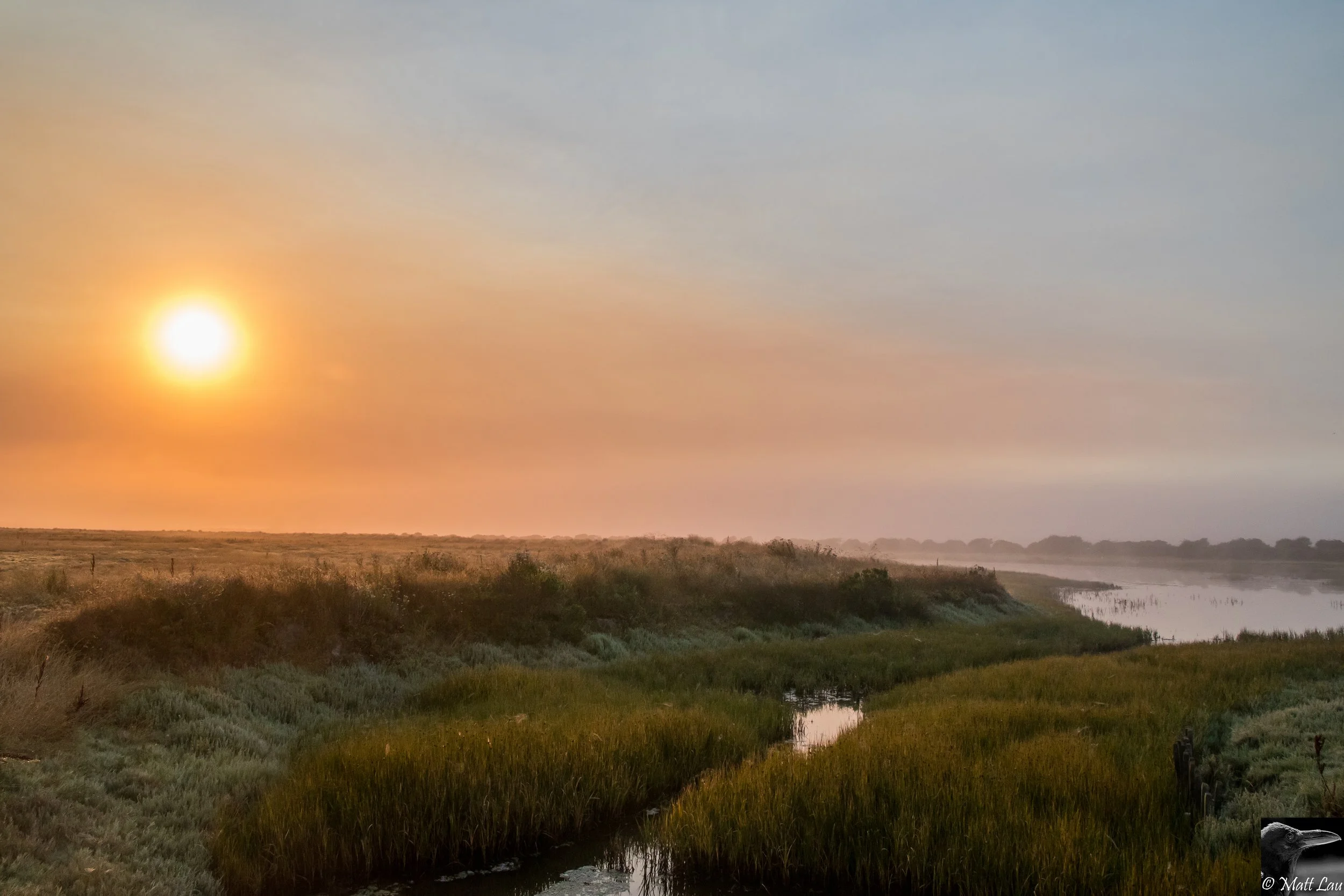The Wildlands Conservancy, Centerville Beach.jpg