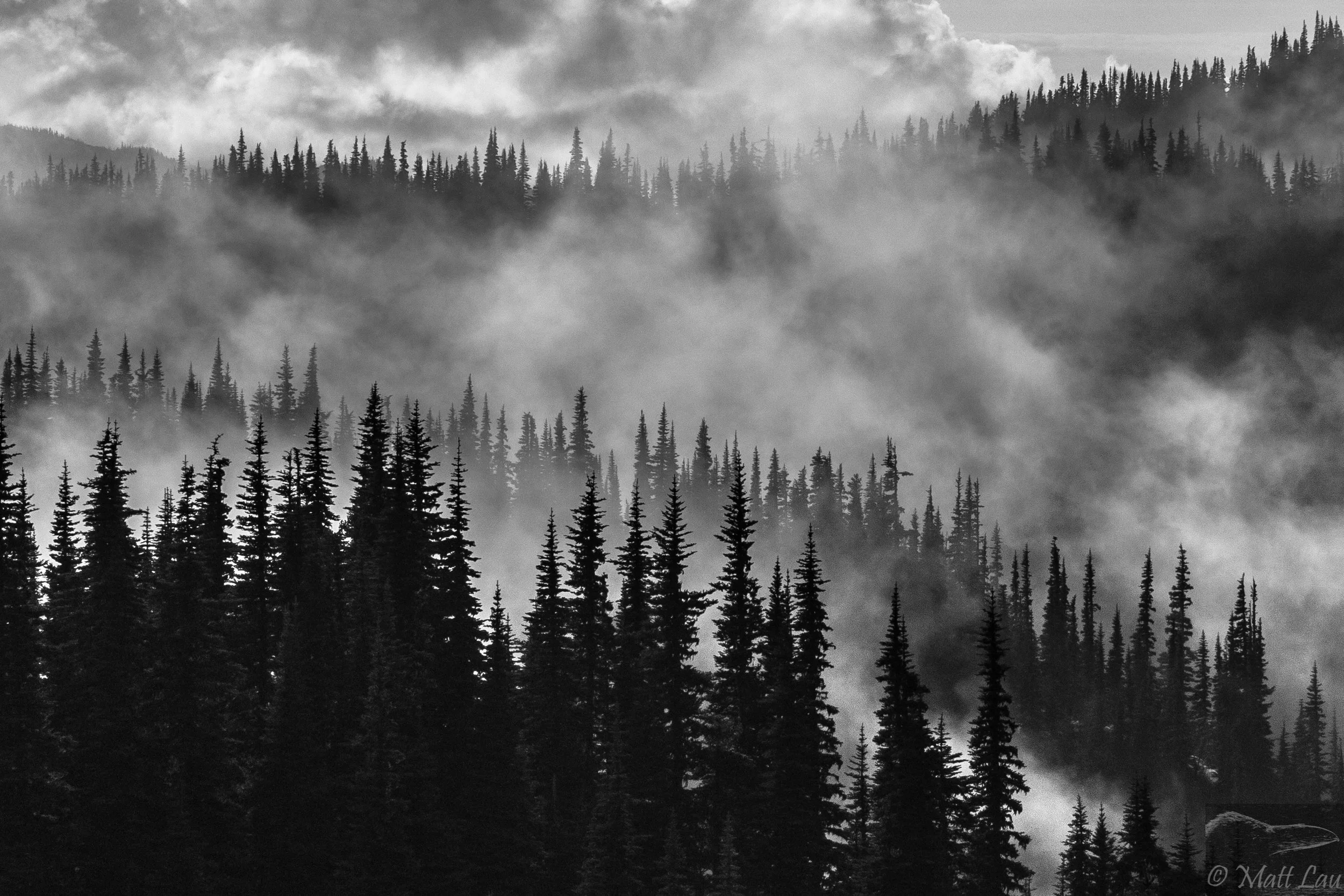 Hurricane Ridge.jpg
