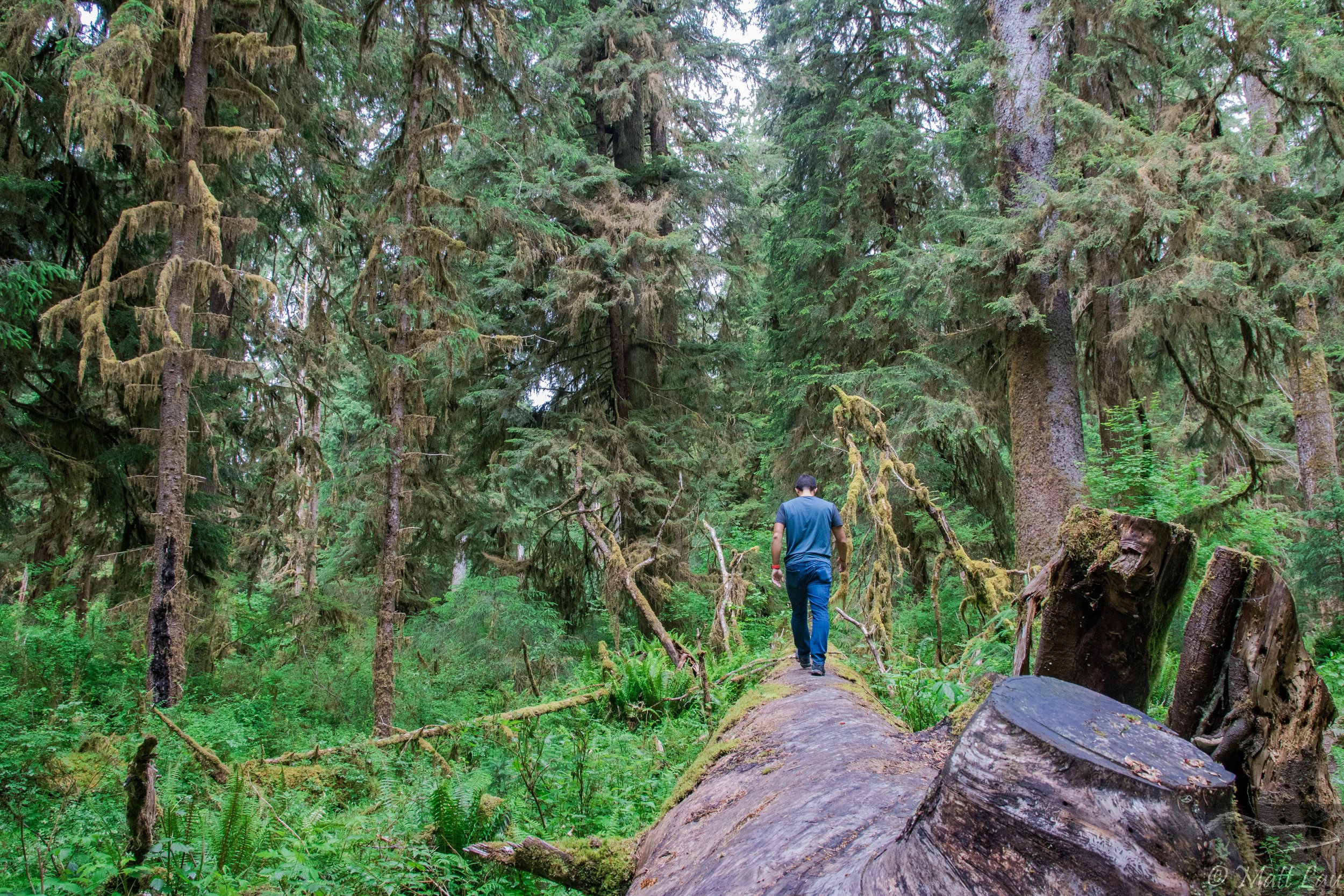 Hiking Hoh.jpg