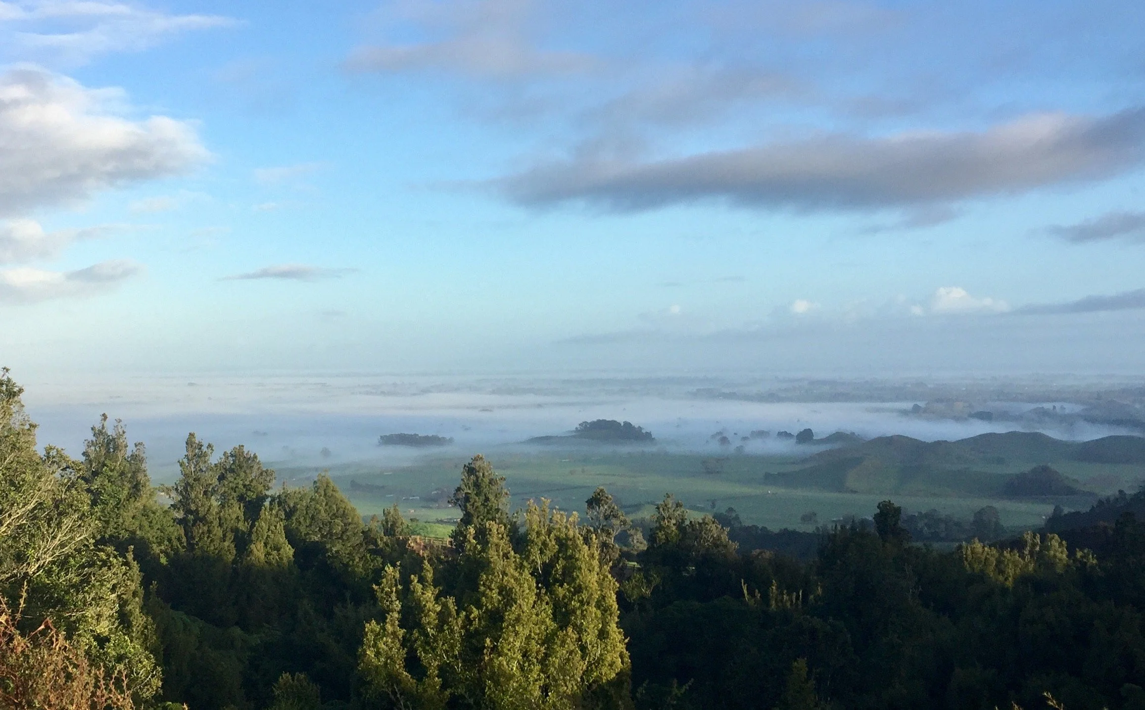 A landscape view of a valley with trees in the foreground, fog in the distance, and a partly cloudy sky.