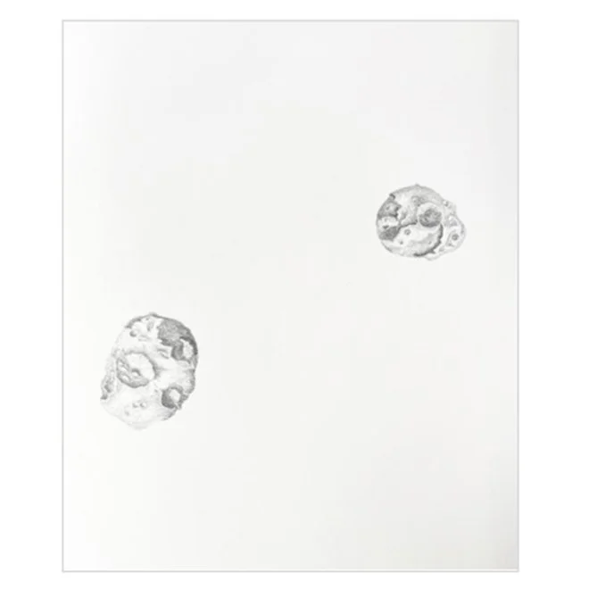 Wagner Malta Tavares |
Super corda, 2026.
Grafite sobre canson, 59 x 42 cm.
R$ 7.110,00