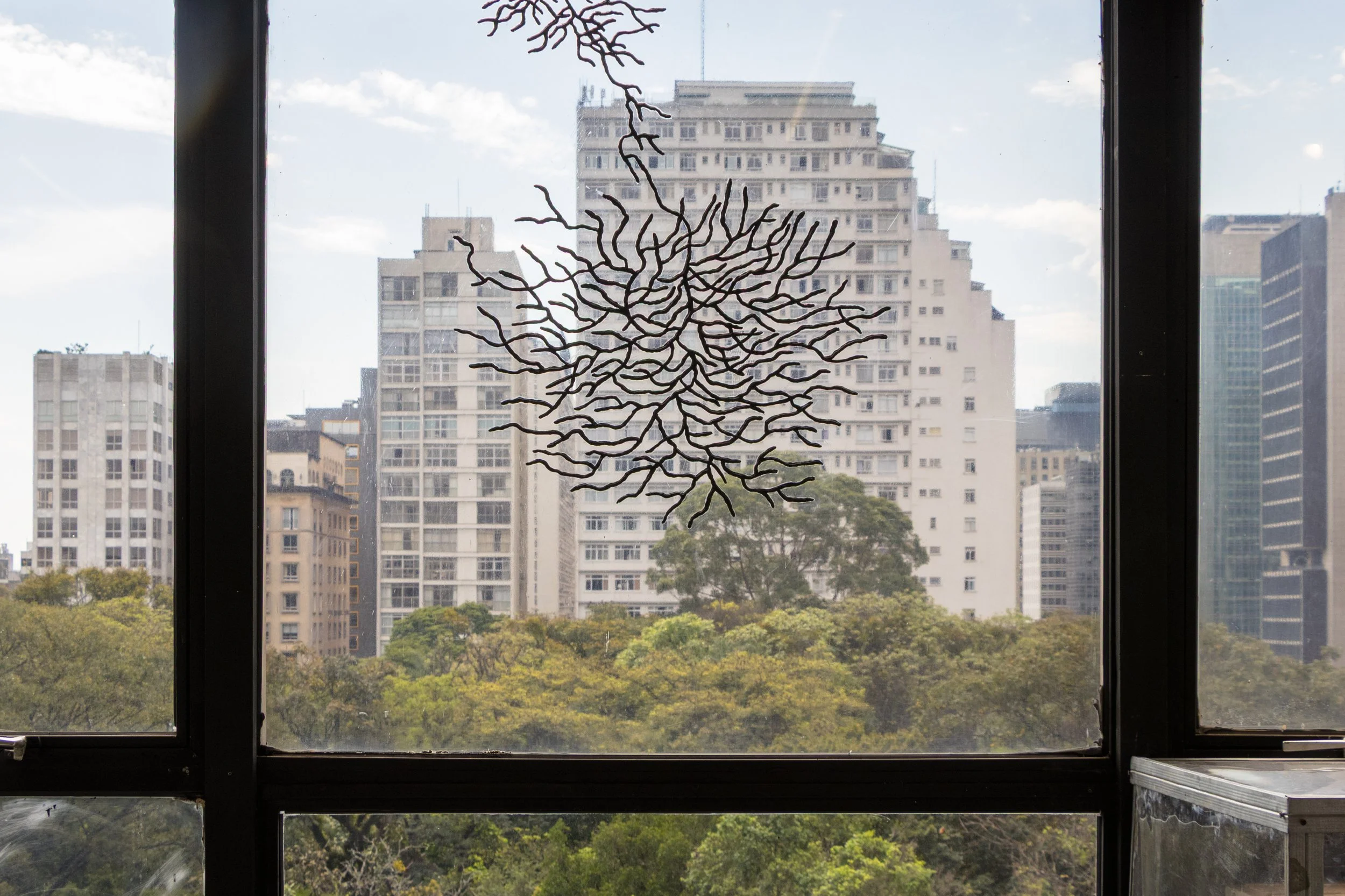 foto: Raphaela Campano