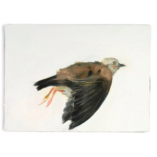 Ulysses Bôscolo |
Pombo, 2022.
óleo sobre tela, 30 x 26 cm.
R$ 6.007,95