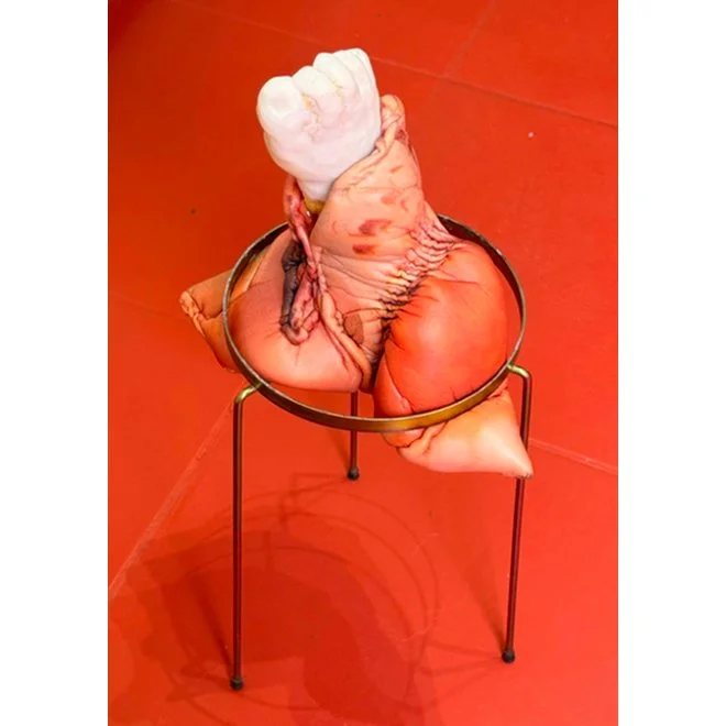 Zé Vicente |
O que desejo ainda não tem nome, 2026.
Espuma, porcelana fria e meta.
67 x 30 x 18 cm.
R$ 2.986,20