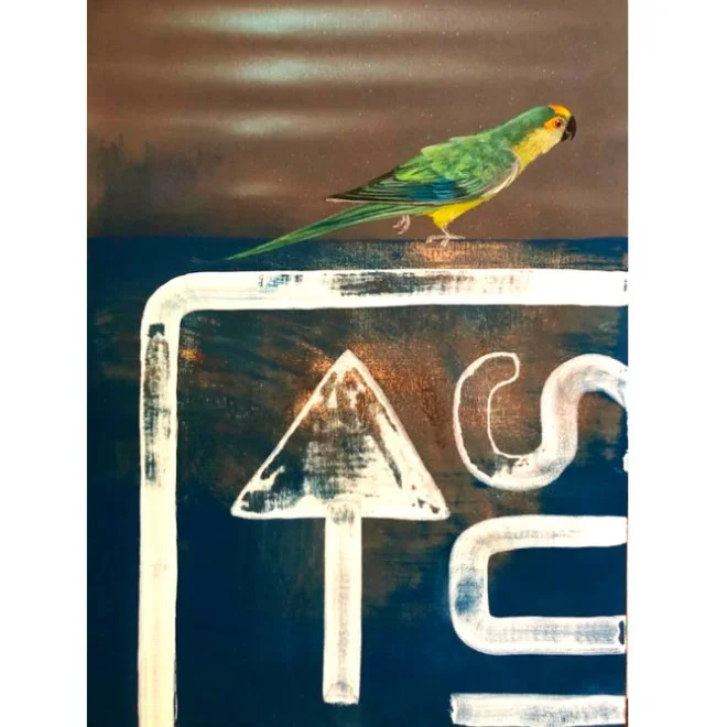 Raphael Bianco |
Sem título, 2020.
Acrílica e óxido de ferro sobre tela.
50 x 35 cm.
R$ 4.977,00