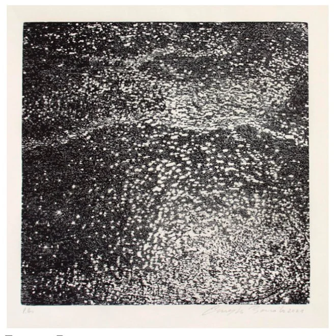 Ernesto Bonato |
Páginas soltas de um livro mudo IV, 2017.
Xilogravura, 50 x 50 cm (papel) / 30 x 30 cm (imagem).
R$ 2.502,72