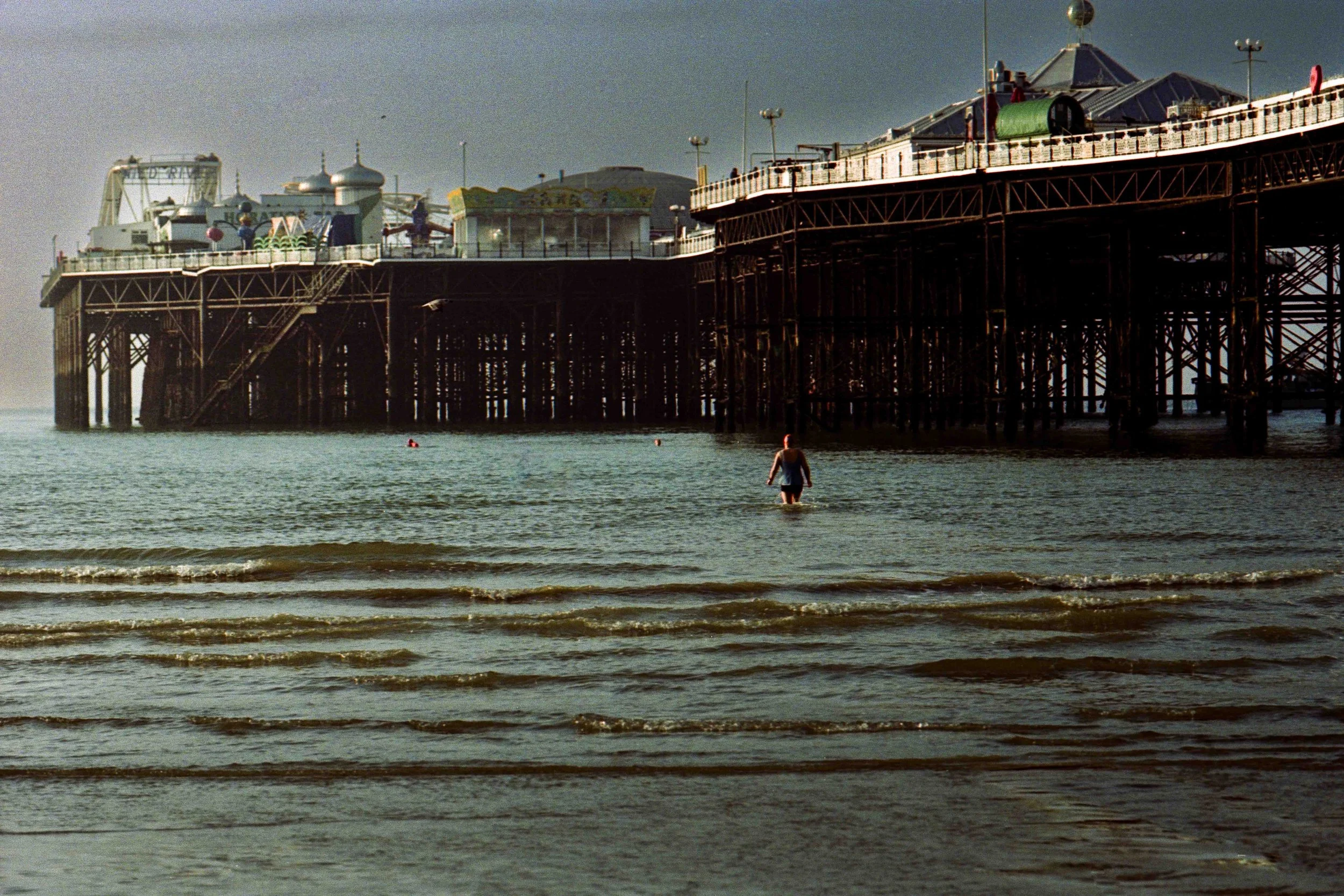 Brighton_swimmers (17).jpg