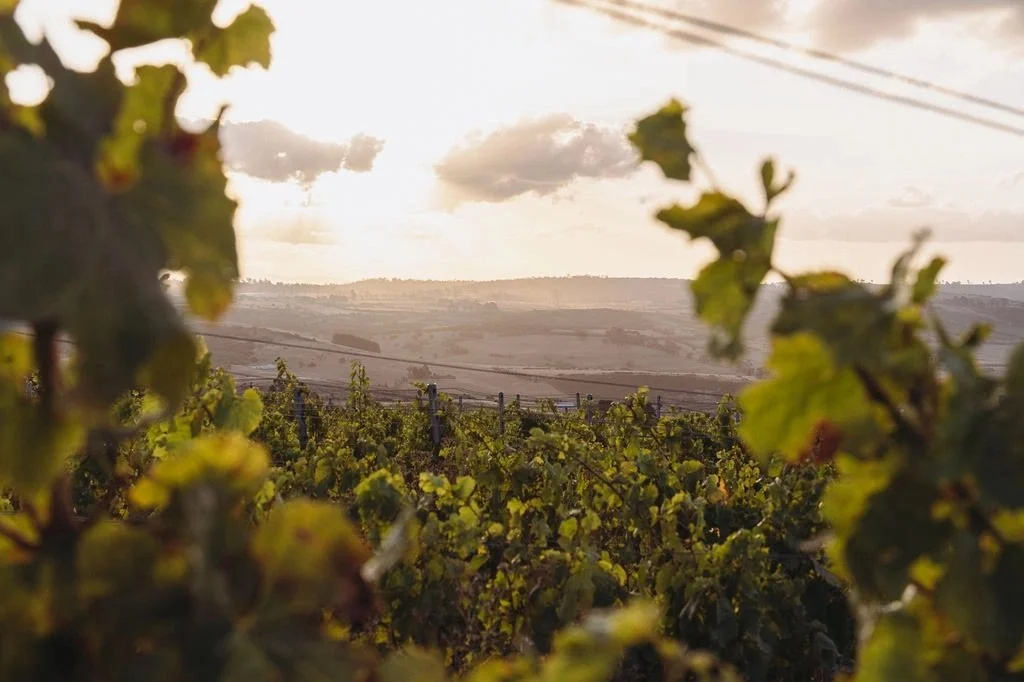 Photographer: Jeremy Plaisance