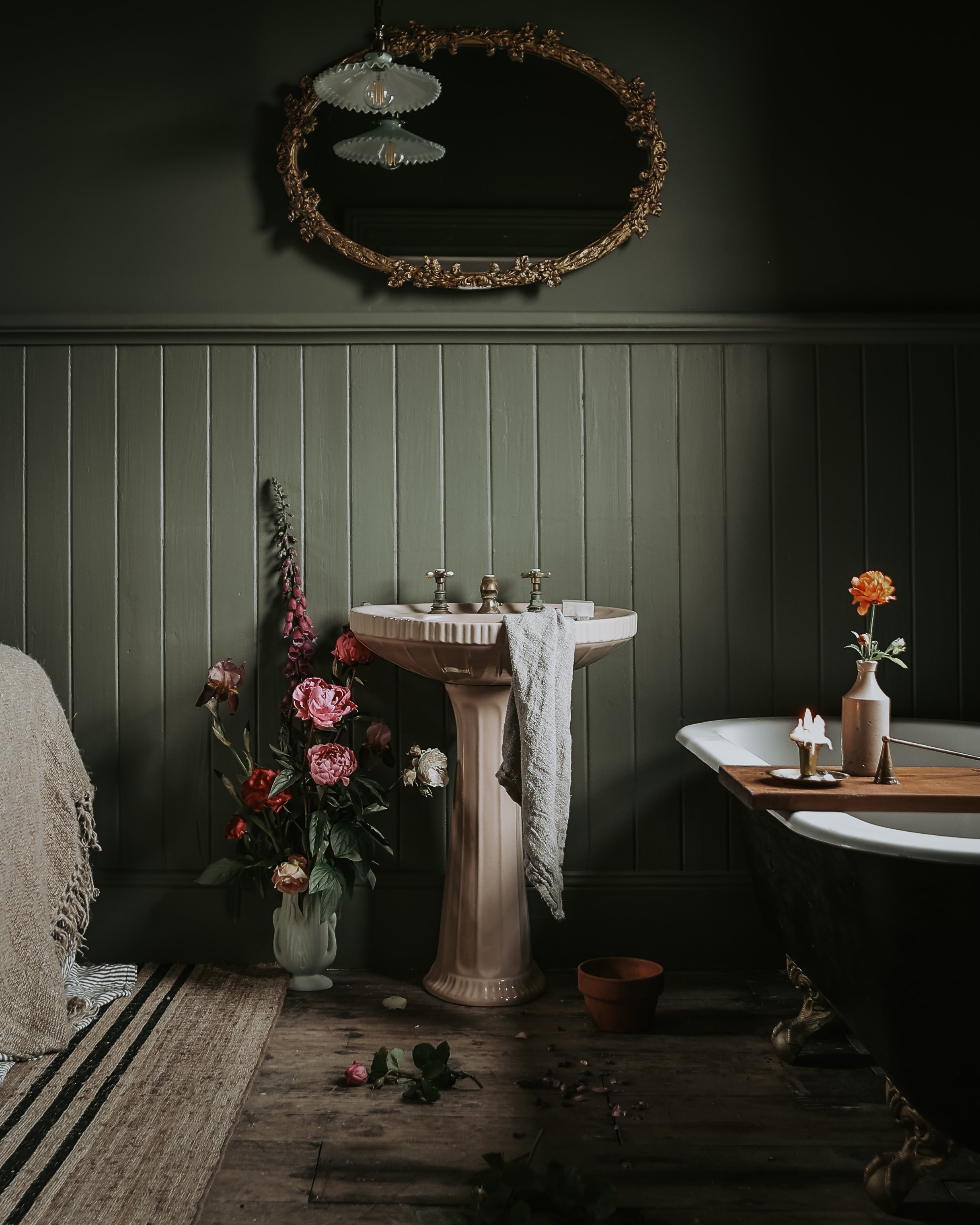 Renee Thurston Photography