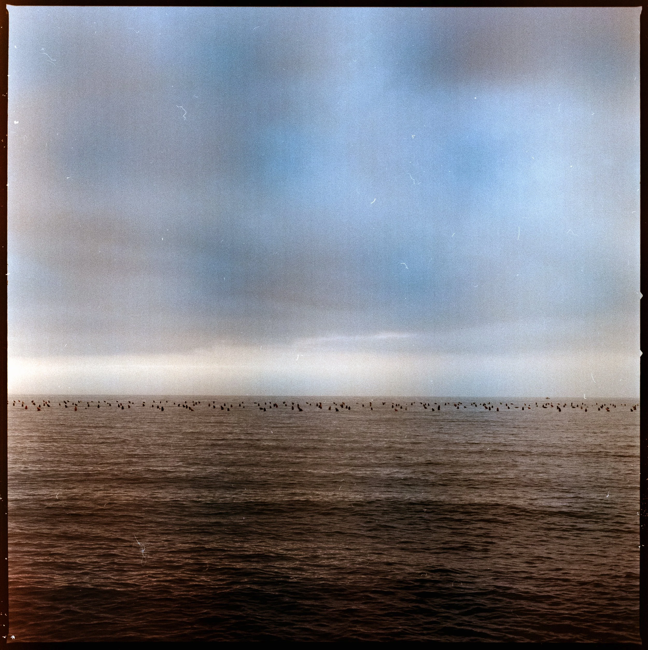 View of the Adriatic Sea under a cloudy November sky at dusk, with subtle imperfections visible on the film surface