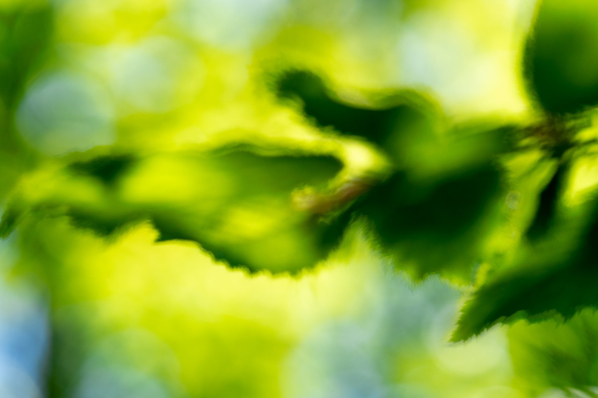 Is missing focus always a mishap?