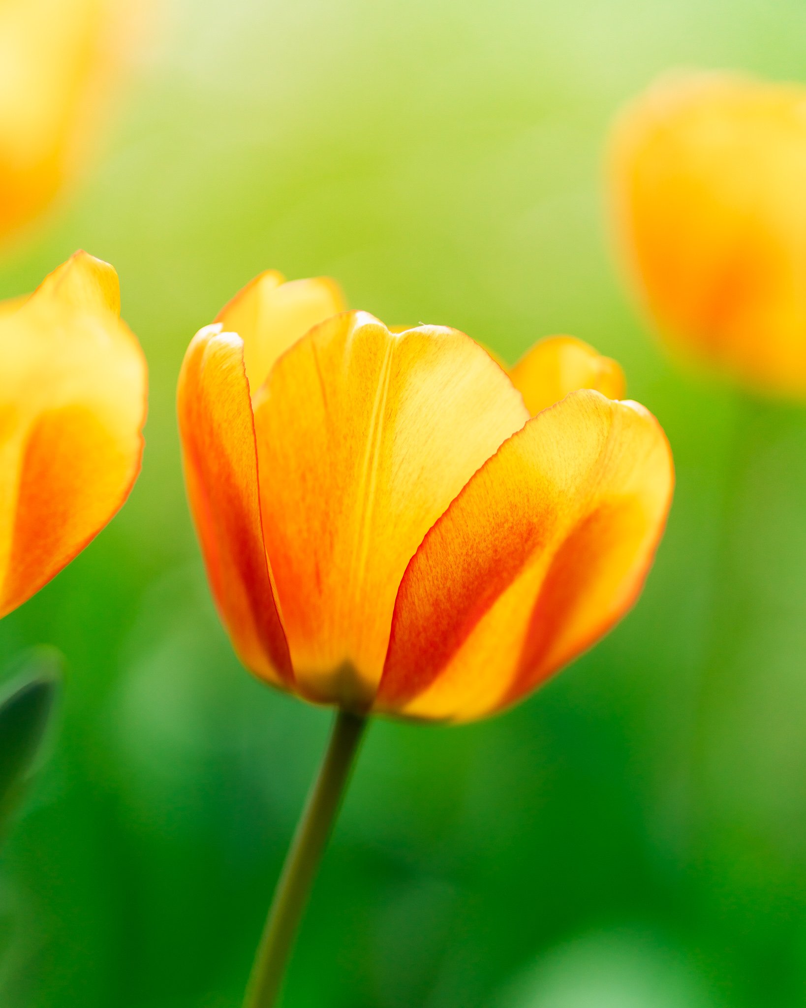 Is the right exposure always right? An exercise in overexposure