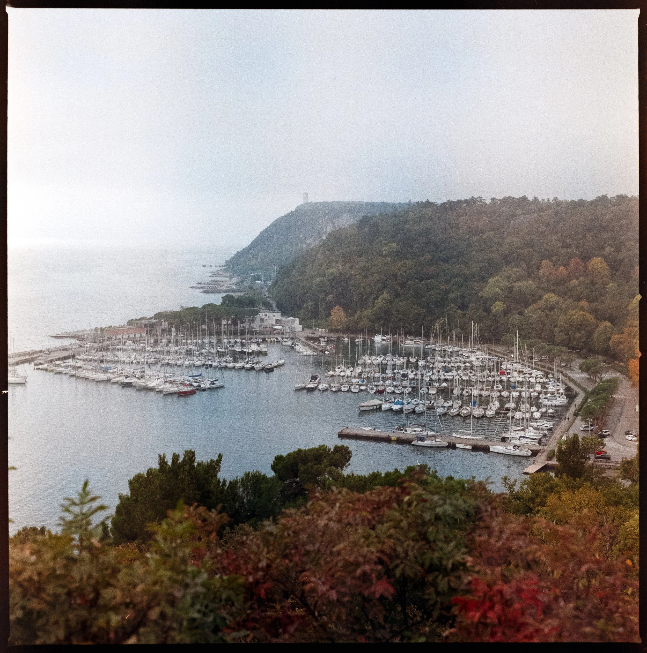 View of a marina on the coast of Trieste, Italy, photographed from above on a cloudy day with sailboats docked below and a forested hill in the background