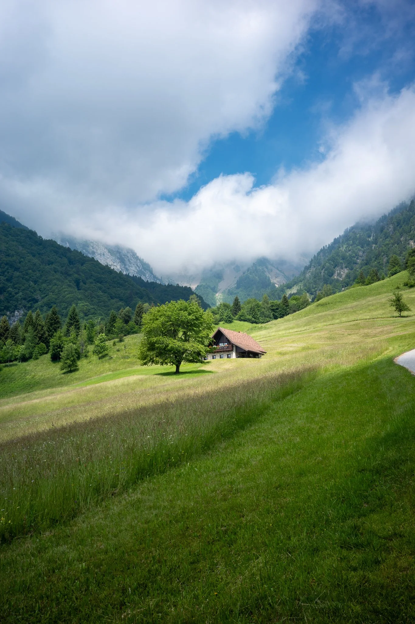 Wide green valley with a lone tree and a stone-and-timber house on the slope, forested hillsides rising on either side and cloud spilling over the rocky peaks behind