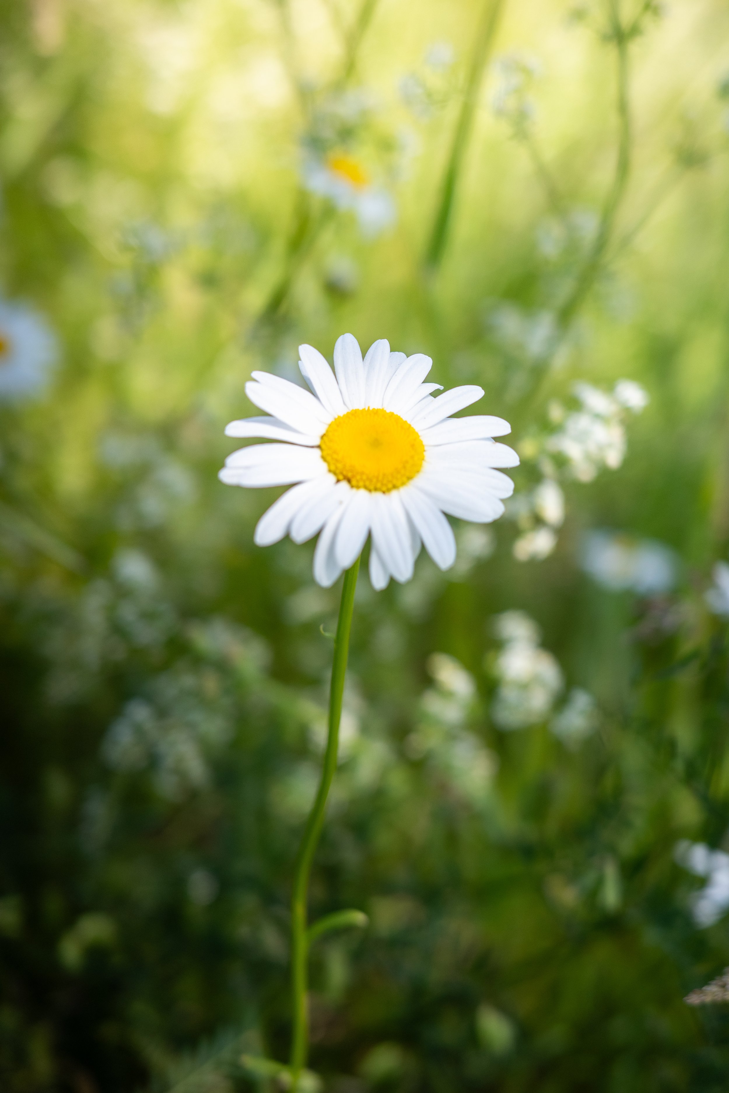 On Impermanence