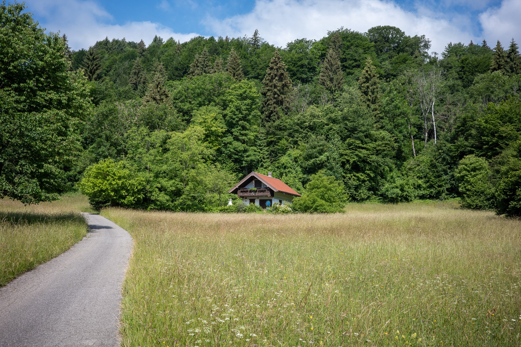 Small house with a red roof and flowered balcony tucked against the forest edge, a paved lane curving through a tall summer meadow toward it