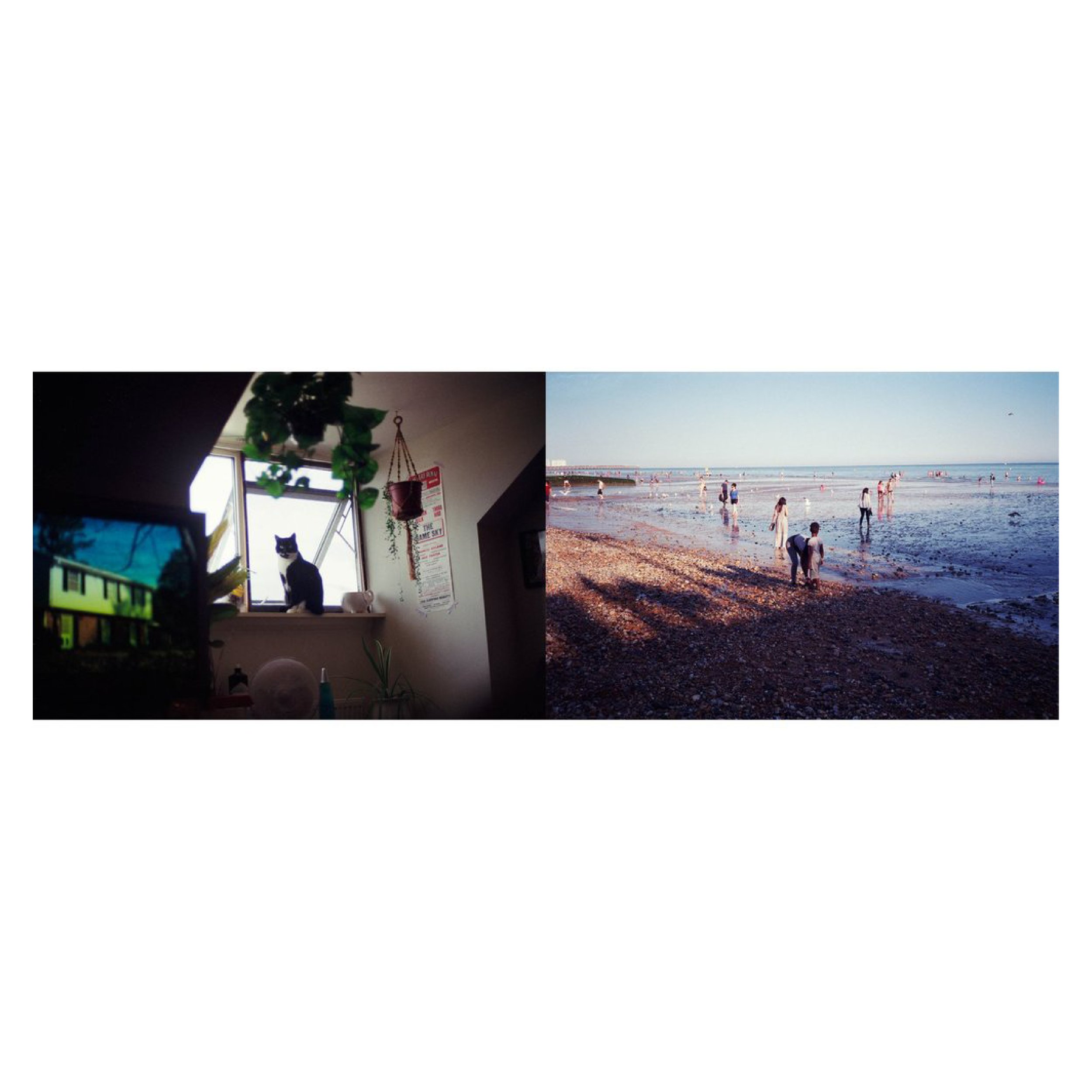 square for squarespace2.jpg