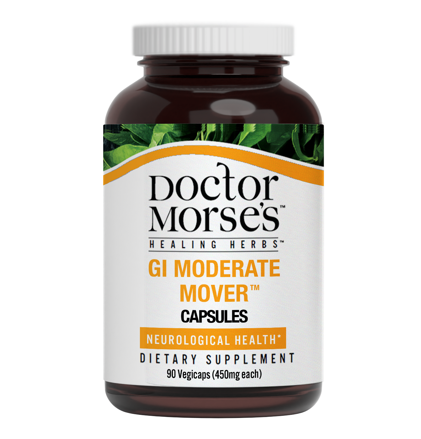 Dr. Morse's GI Moderate Mover