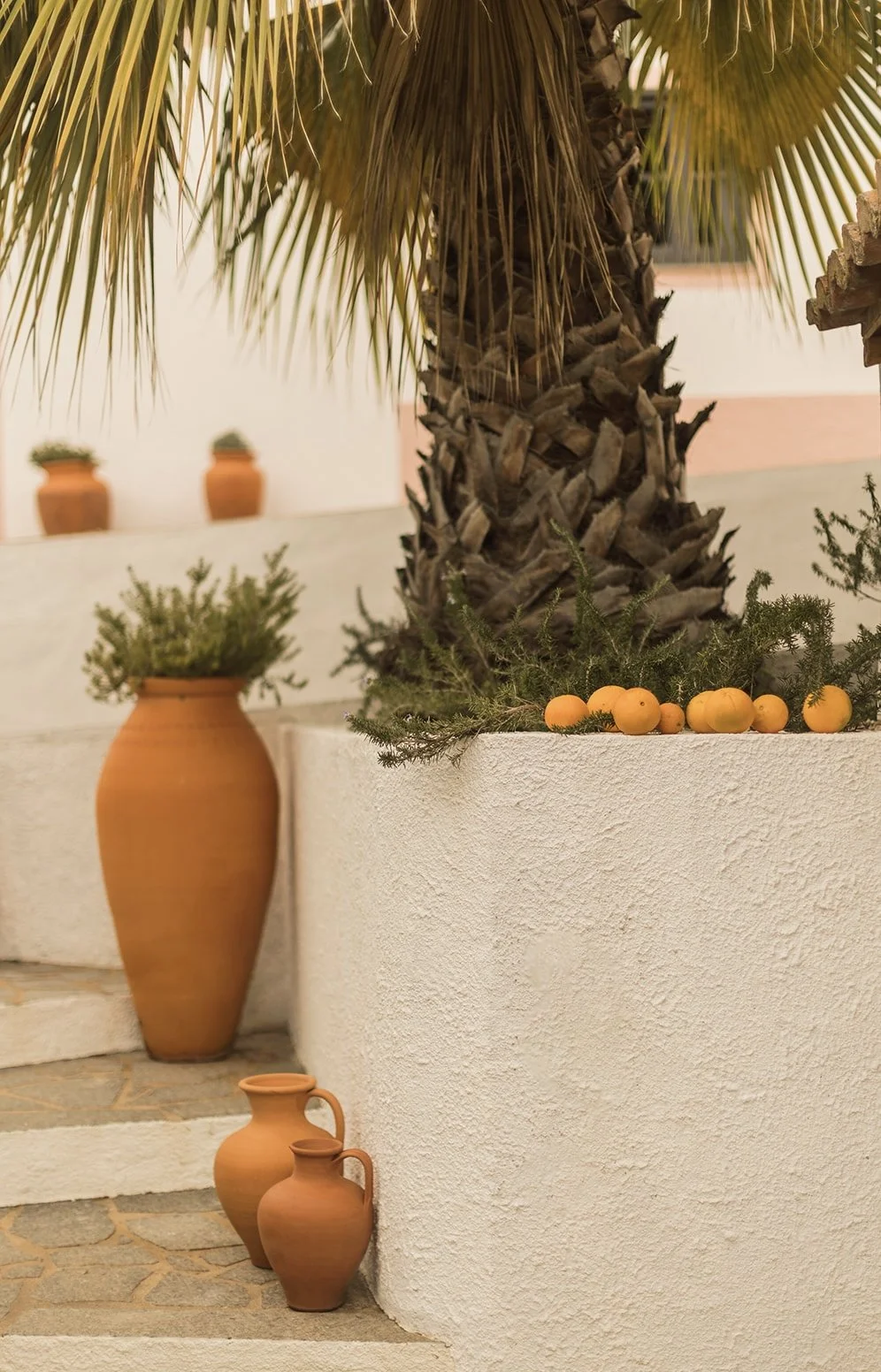 Casa de cura - warmth -7 copy.jpg