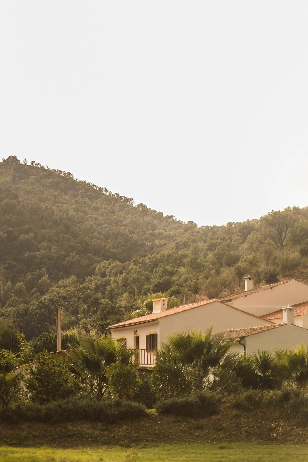 Casa de cura - warmth -6.jpg