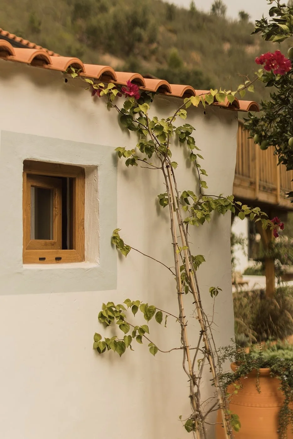 Casa de cura - warmth -28 copy.jpg