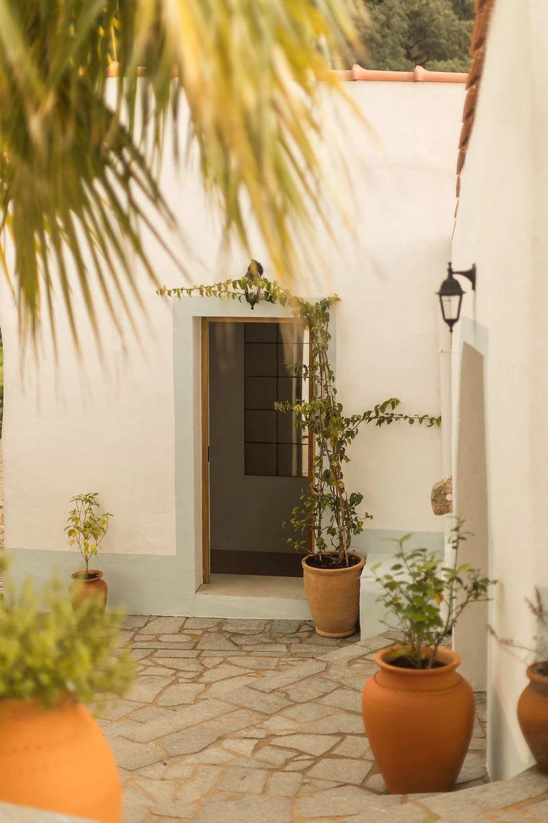 Casa de cura - warmth -2.jpg