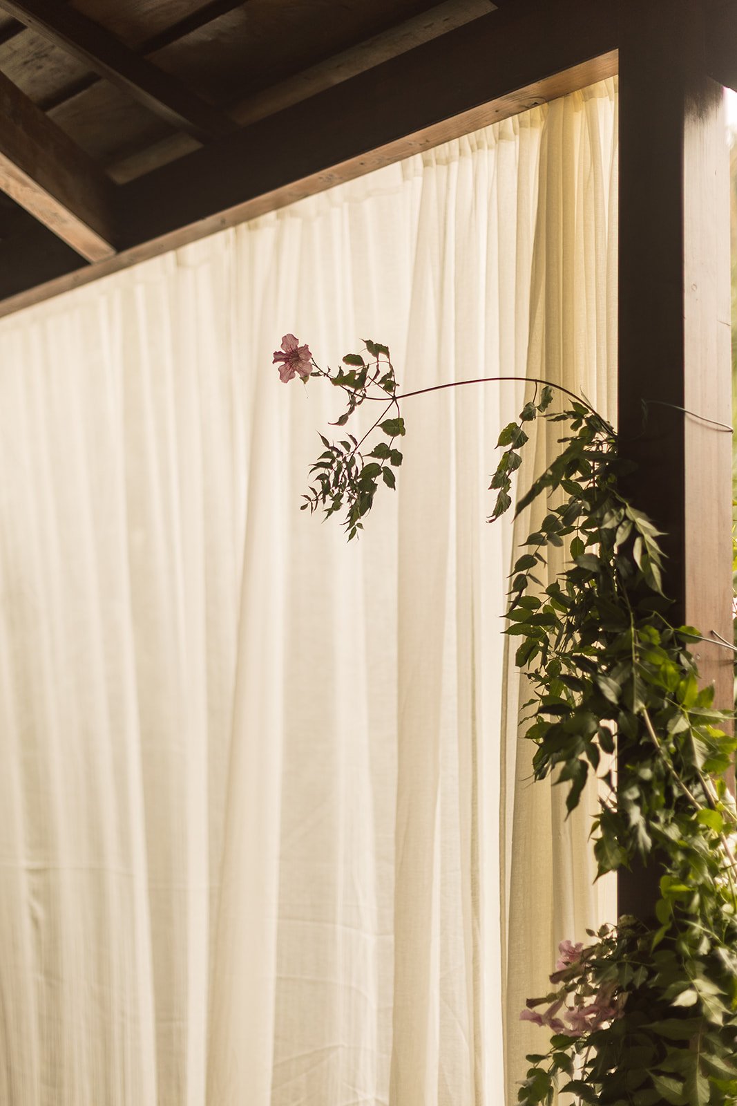 Casa de cura - warmth -12.jpg