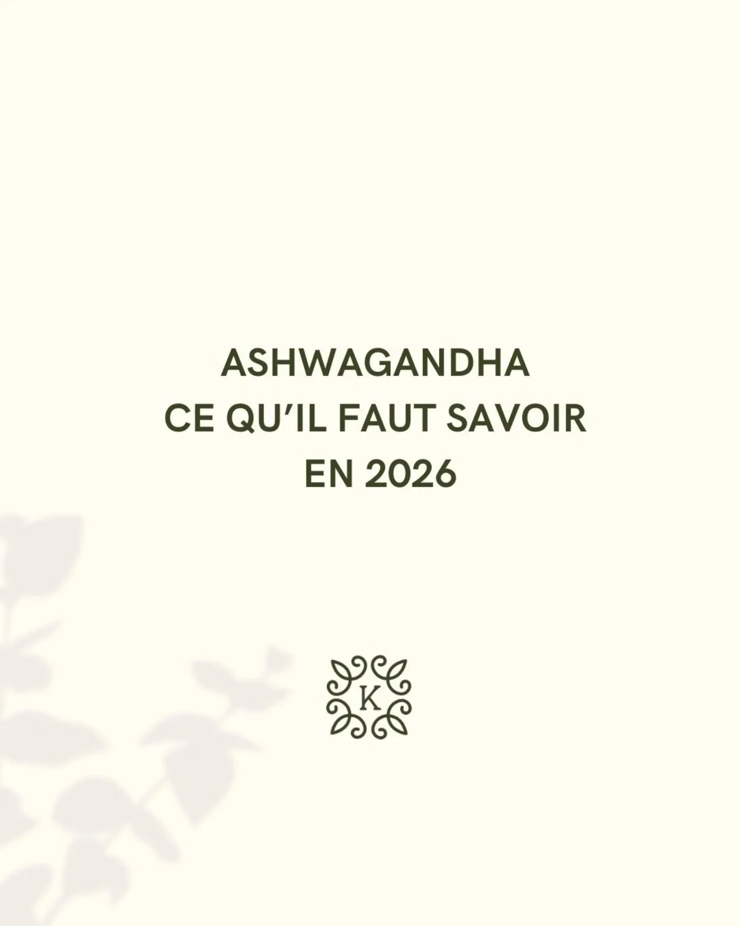 On fait le point sur l&rsquo;Ashwagandha.

Plante adaptog&egrave;ne largement utilis&eacute;e, notamment dans l&rsquo;accompagnement du stress et du sommeil, l&rsquo;Ashwagandha fait aujourd&rsquo;hui l&rsquo;objet de nouvelles recommandations offici