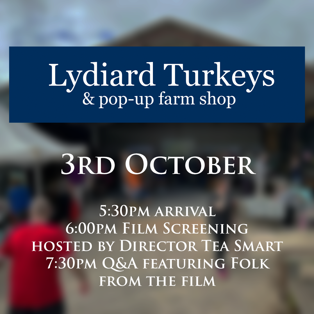 October 3rd - Lydiard Turkeys