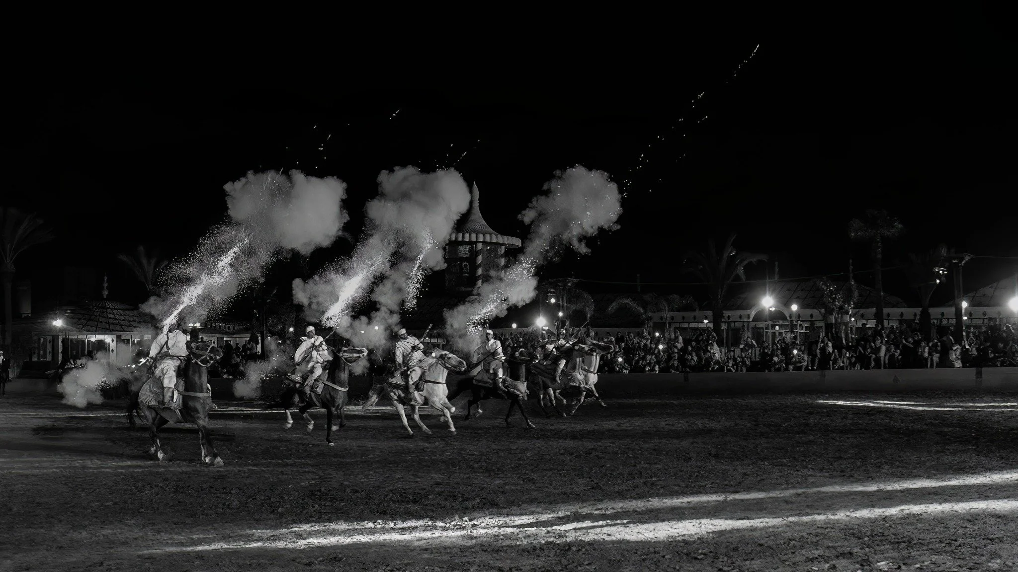 fantasia BW-topaz-denoise.jpg