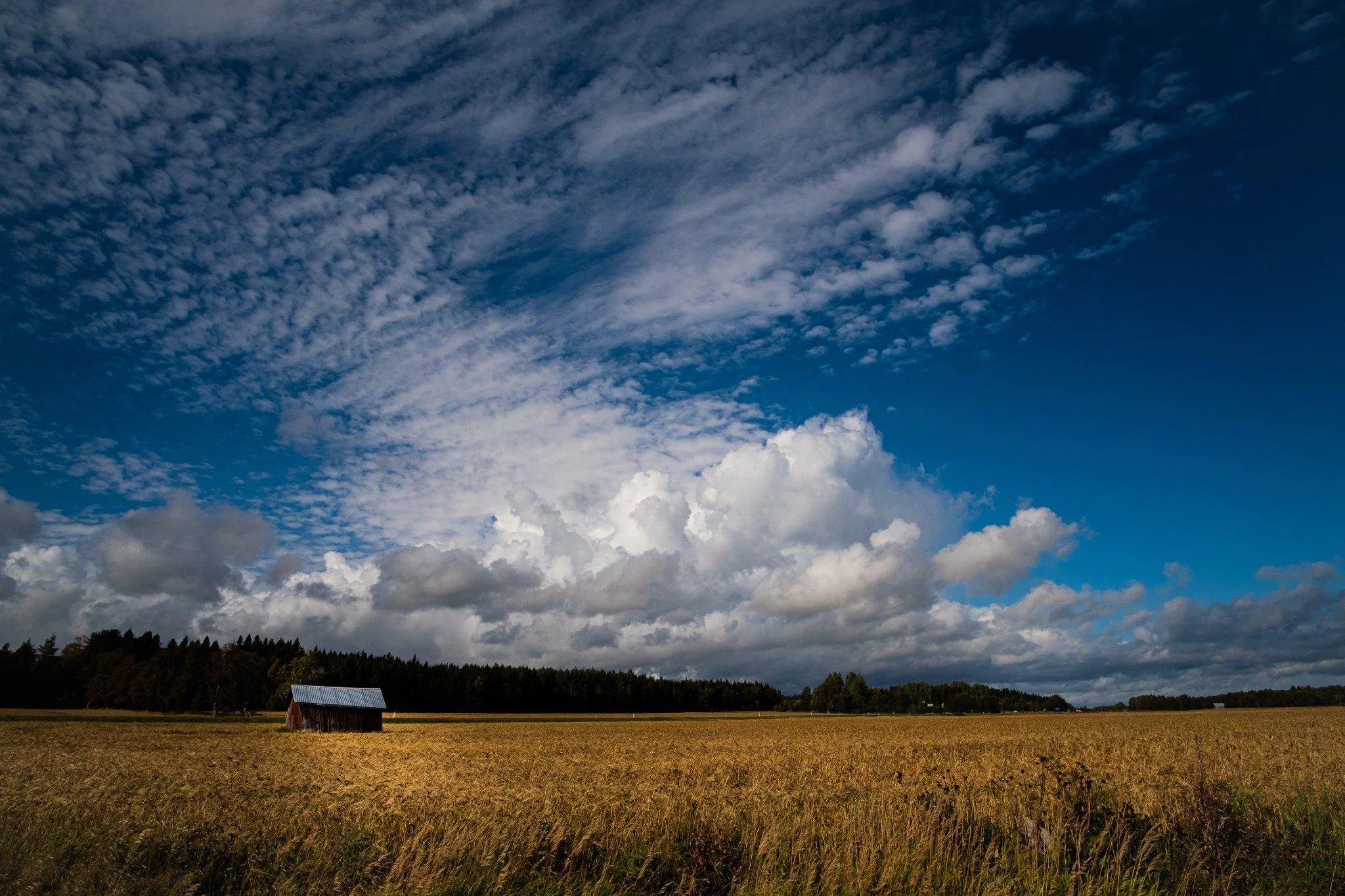 DSCF6290-2.jpg