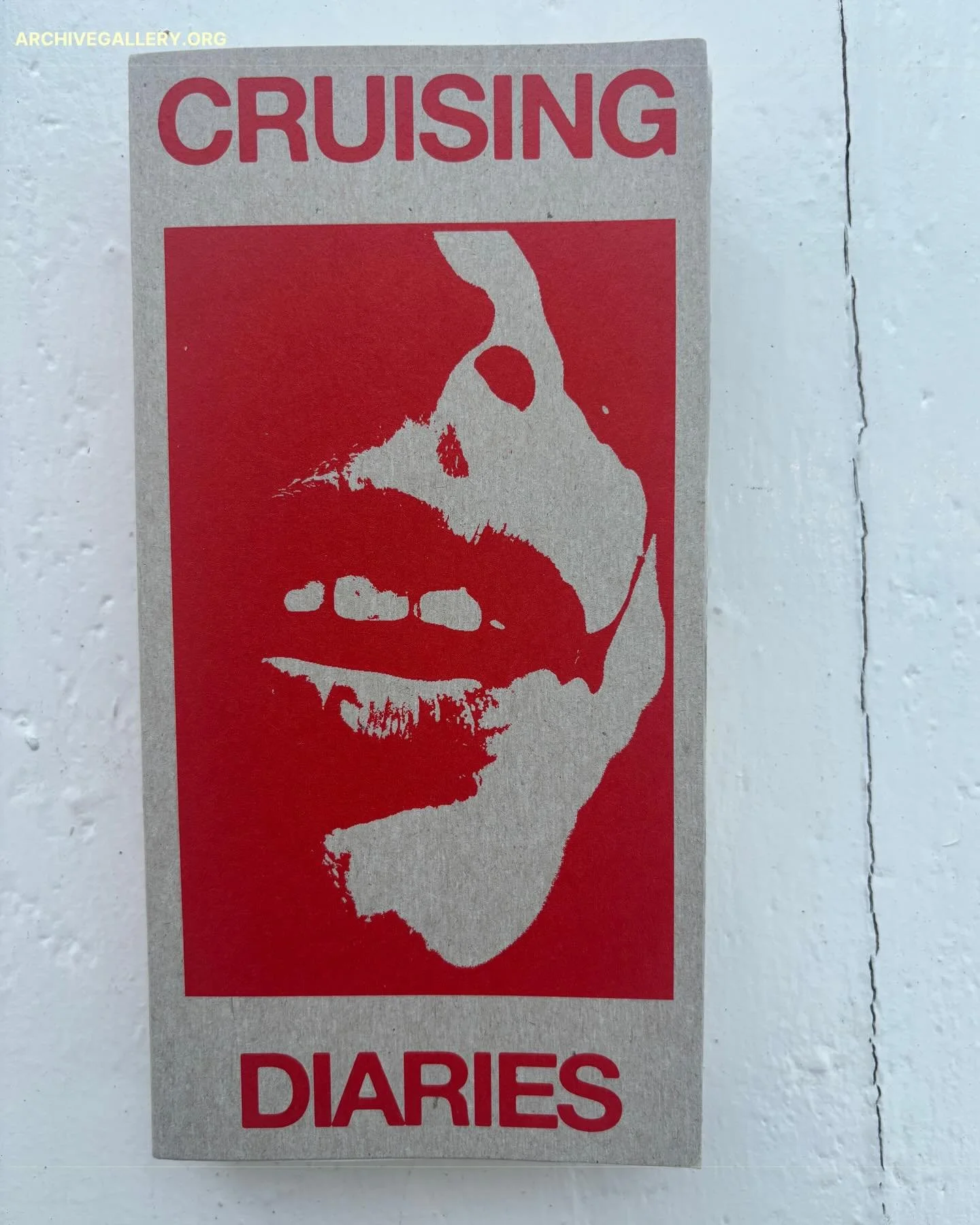 Featured Photobook: Cruising Diaries by Franco Dupuy. Cruising Diaries&nbsp;is both a celebration and a provocation: a portrait of queer pleasure at its most raw, secret, and uncontainable. This photobook/diary explores the elusive visual language of