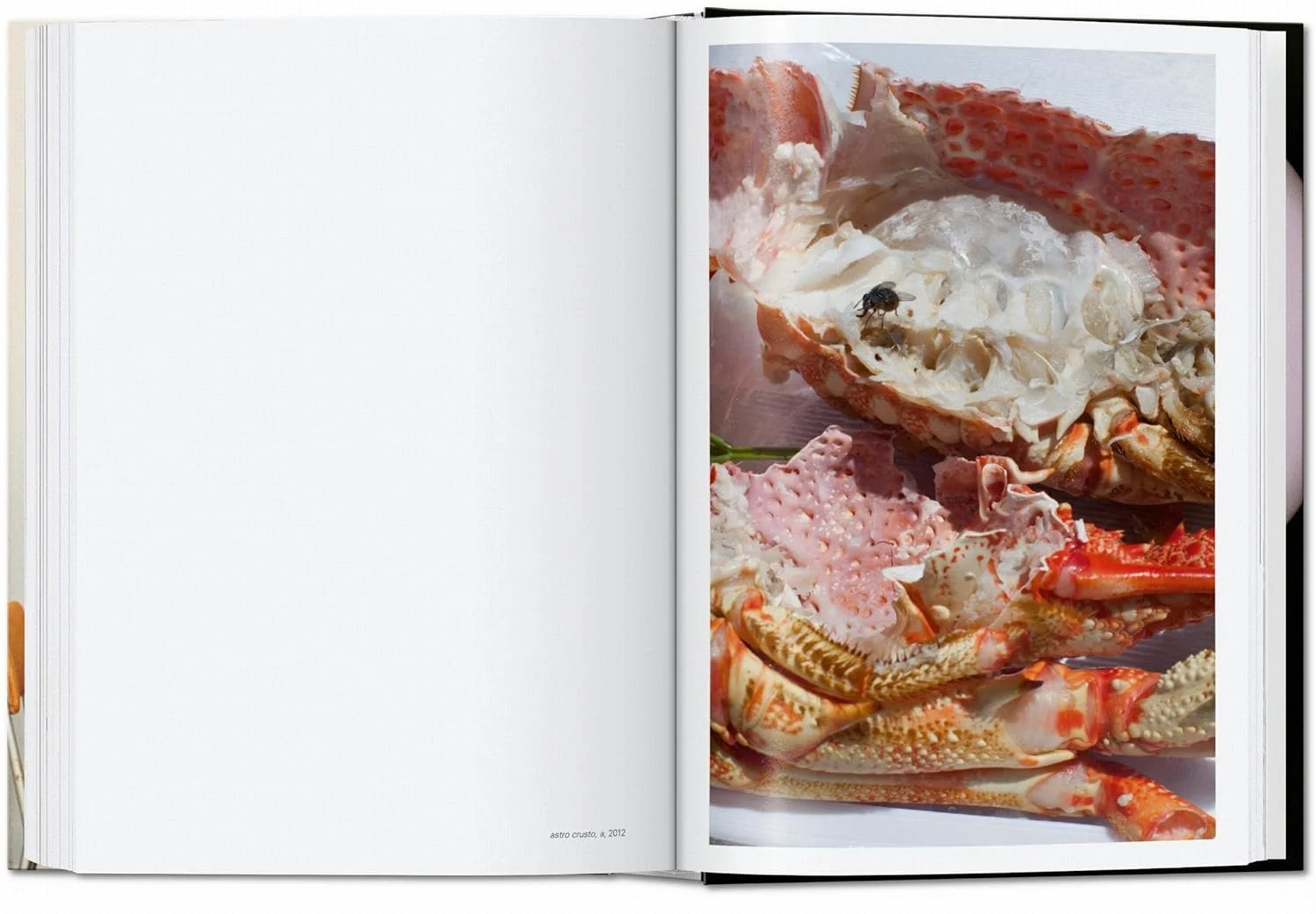 Tillmans Four Books-8.jpg