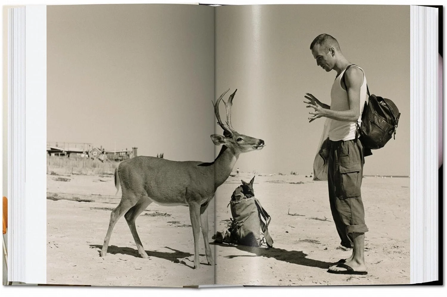 Tillmans Four Books-4.jpg