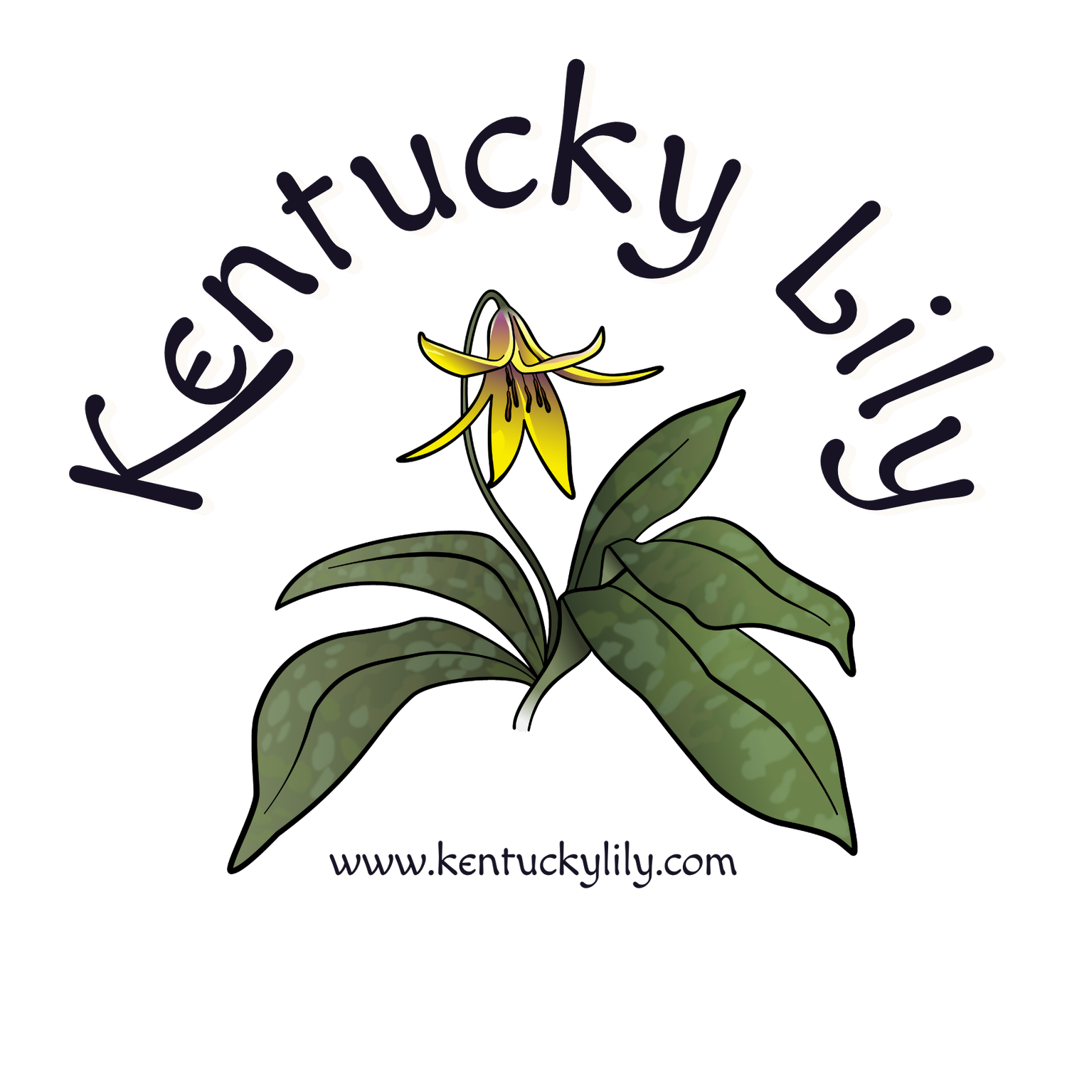 Kentucky Lily Silversmith &amp; Lapidary