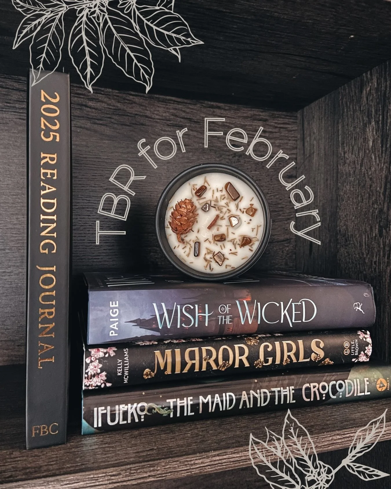 What is one book you want to read in February?

🖤 January was very difficult - for my immediate family, for my friends and community, for my country. Holding on to little joys and praying that the rest of 2025 will be better.

Here&rsquo;s my priori