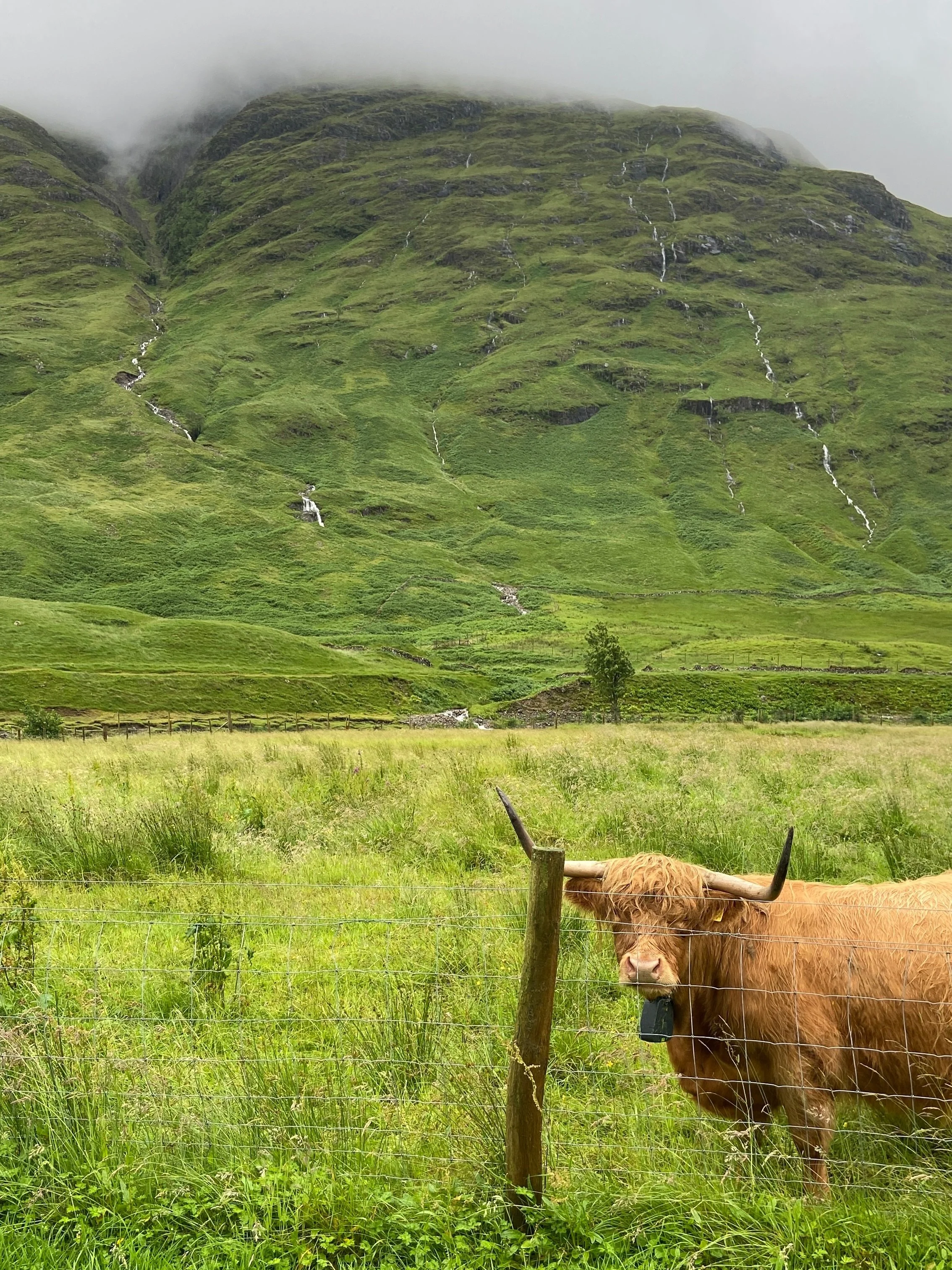 I can&rsquo;t get over how beautiful Scotland is. Everywhere I turned, more glorious mountains and rushing streams, more cows and flowers and jaw-dropping vistas.

Take me back 😭🏴󠁧󠁢󠁳󠁣󠁴󠁿

Glencoe, West Highlands