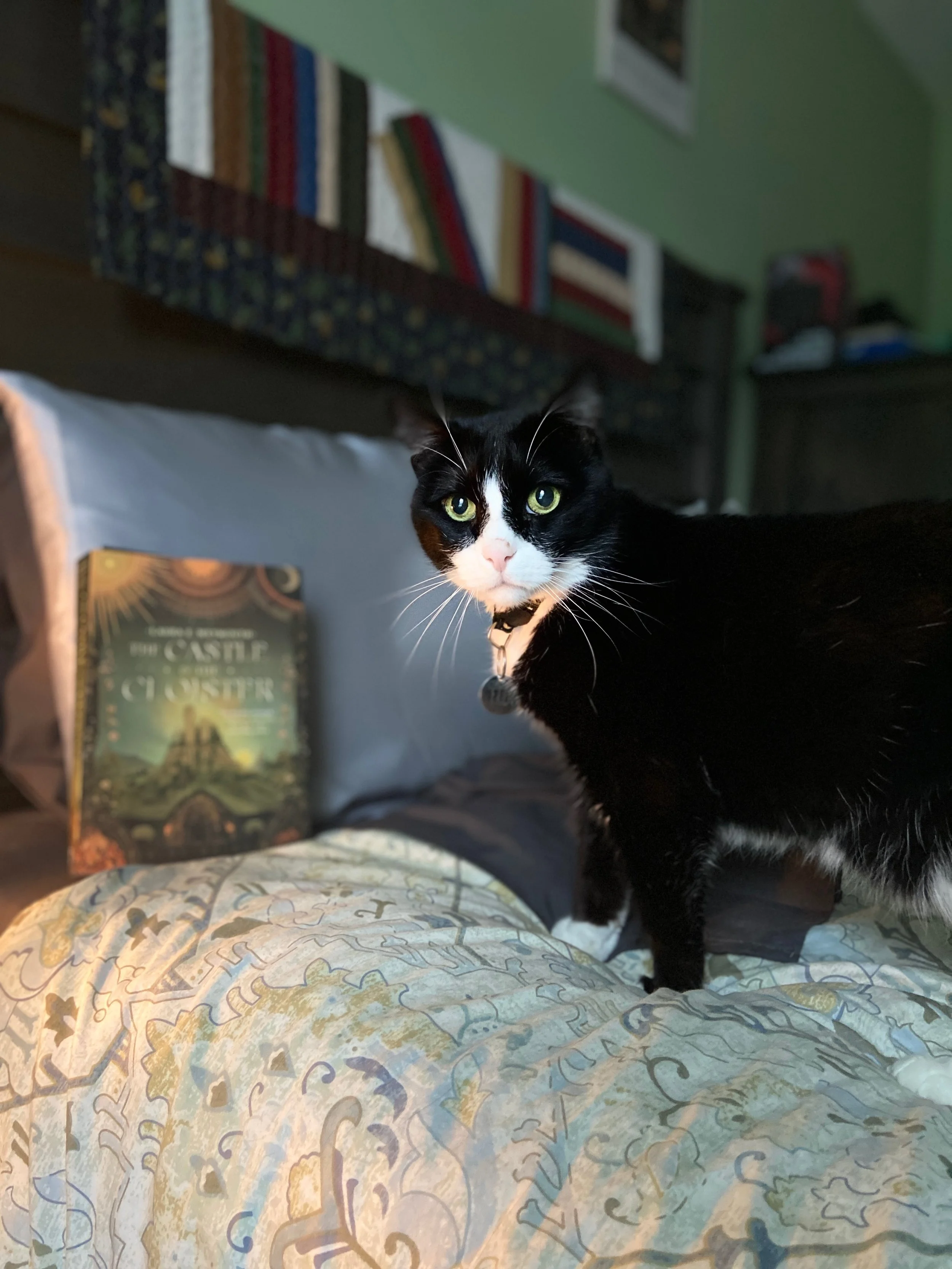 Tux crashed my photo shoot for @lauraeweymouth &lsquo;s new release The Castle and the Cloister, out today! Thank you @sagapressbooks for this gifted copy. (I&rsquo;ve preordered two other physical copies and the audiobook 😉)

Featured here with som