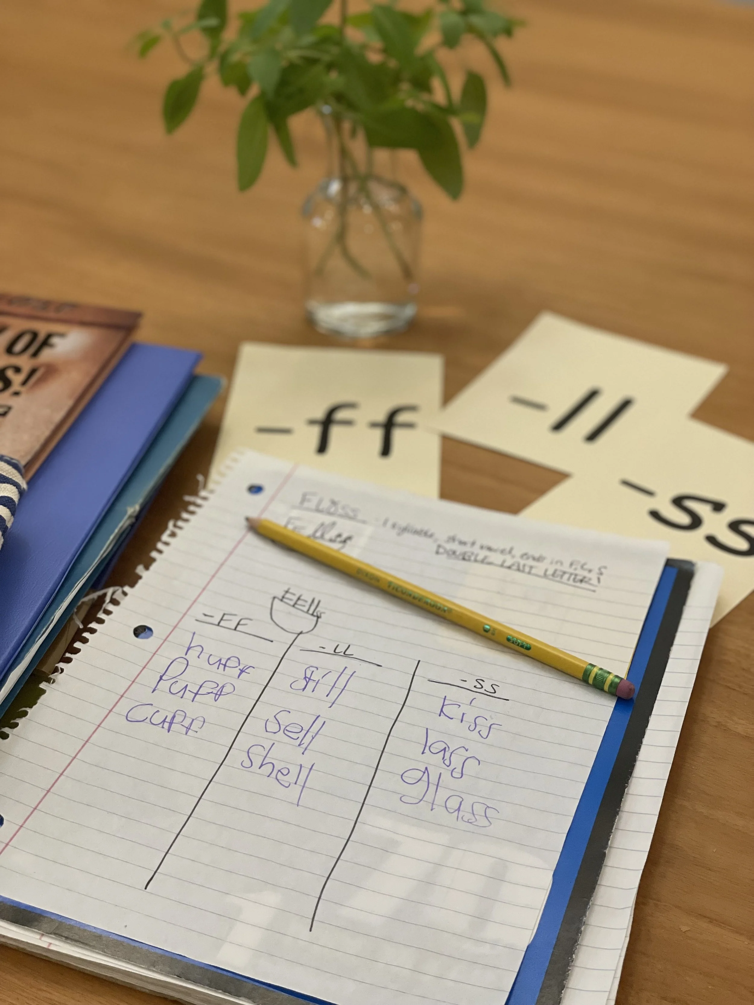 Explicit Structured Literacy phonics lesson
