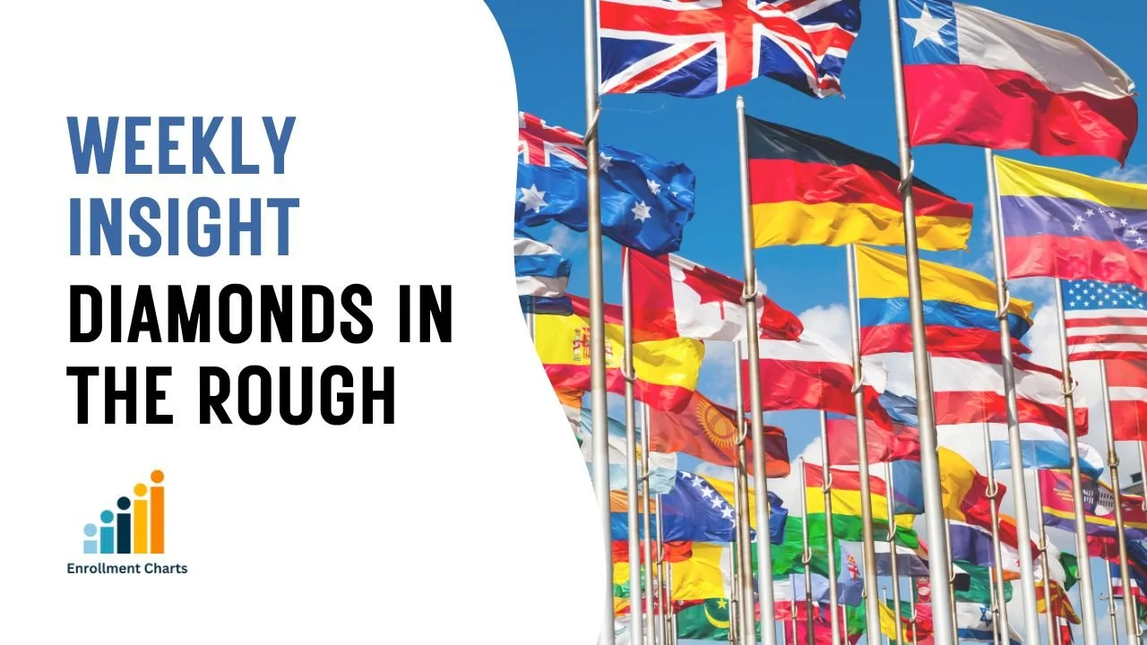 Diamonds in the Rough - International Student Recruitment Insight