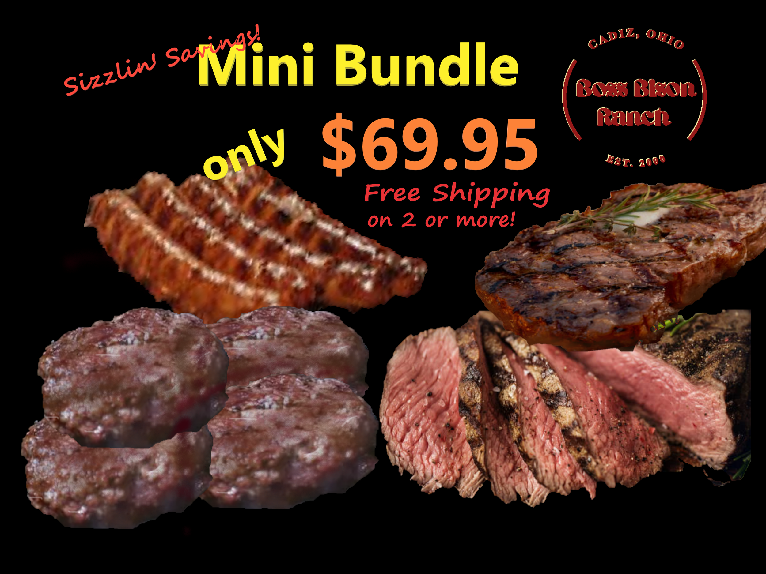 Bison Bulk Savings Mini 2025.png