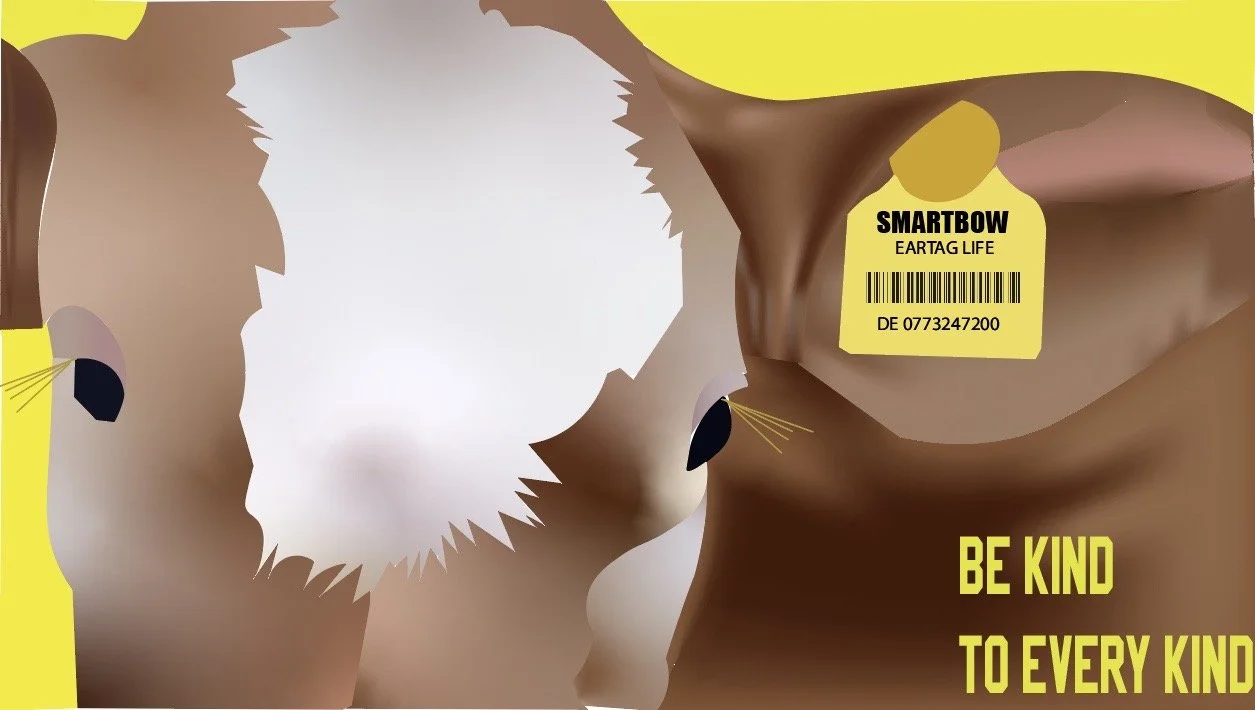 Image 6-3-24 at 1.46 PM.jpg