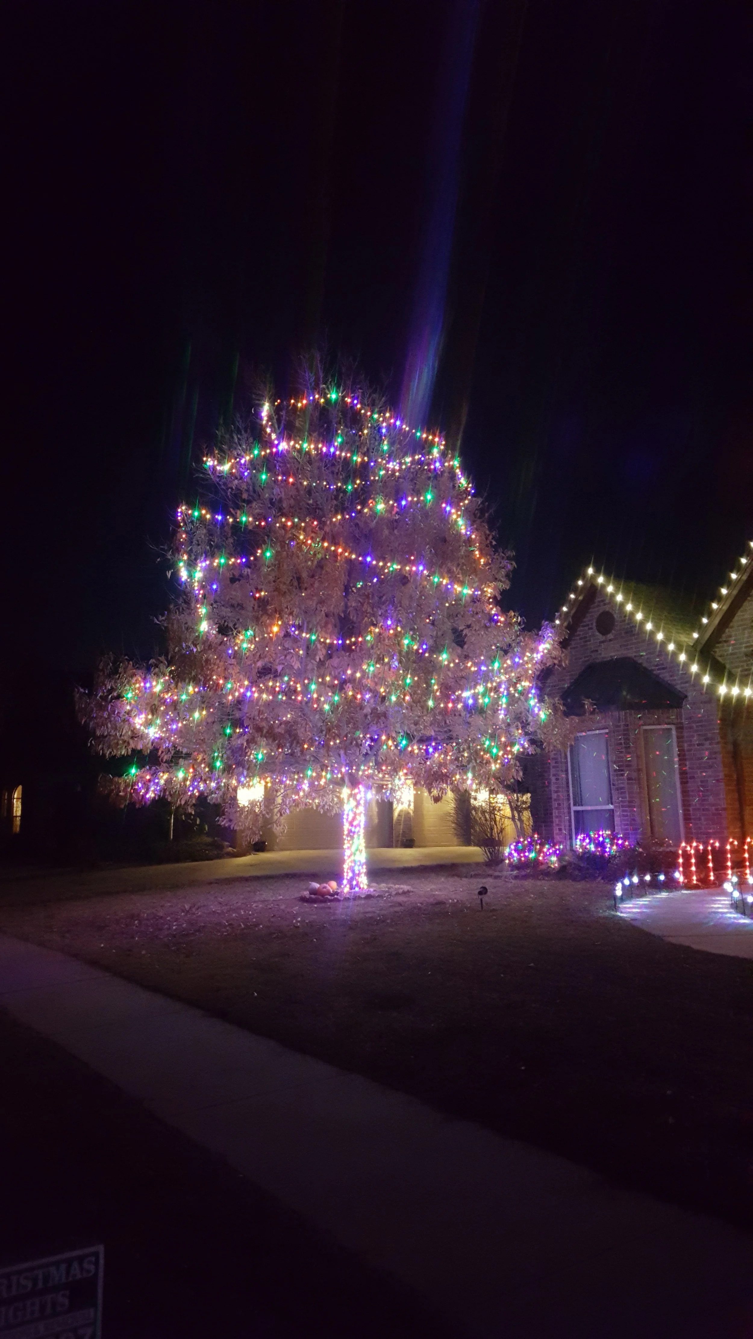 A tree decorated with multicolored Christmas lights at night outside a house with additional holiday lights.