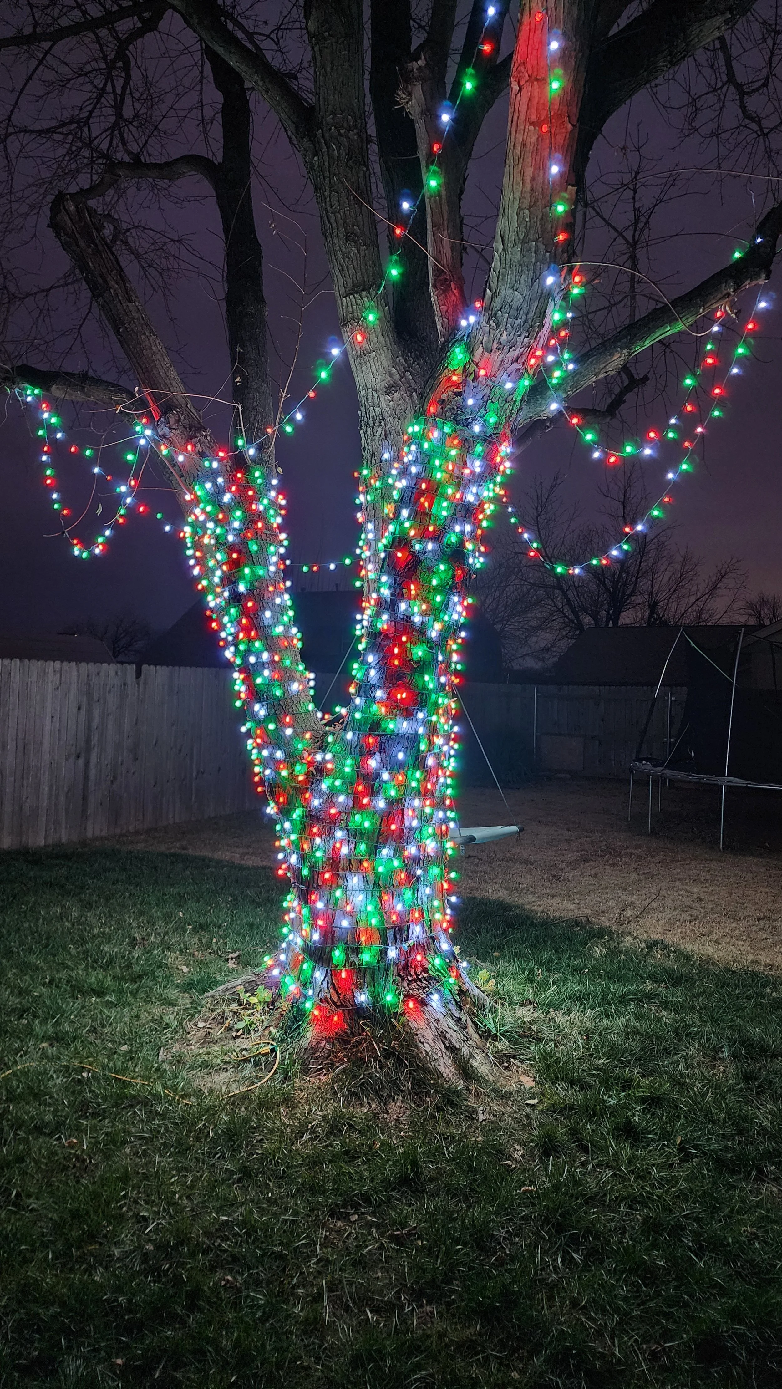 Tree decorated with colorful Christmas lights on a night background in a backyard.