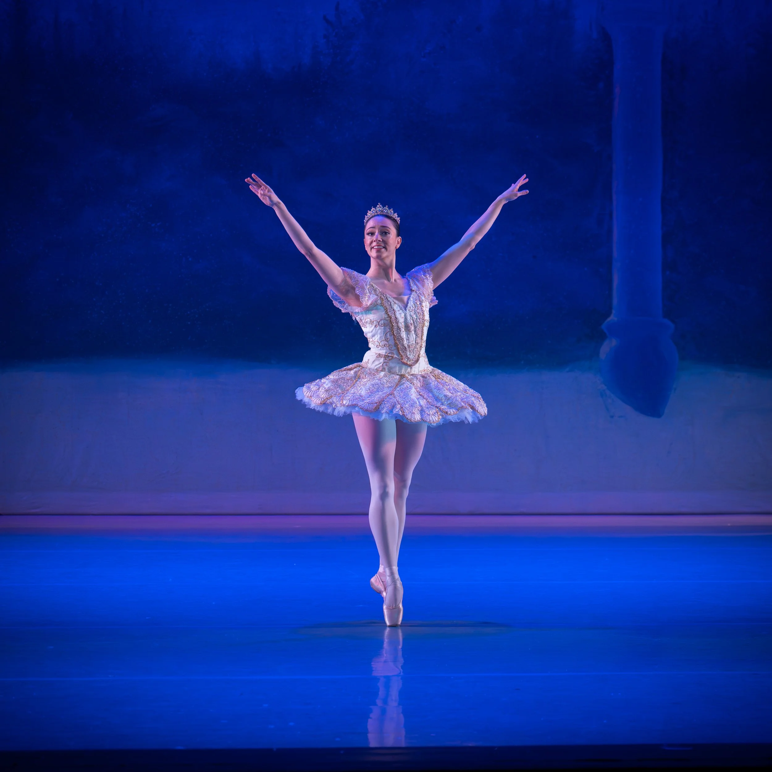 Sugar Plum 2-square-1.jpg