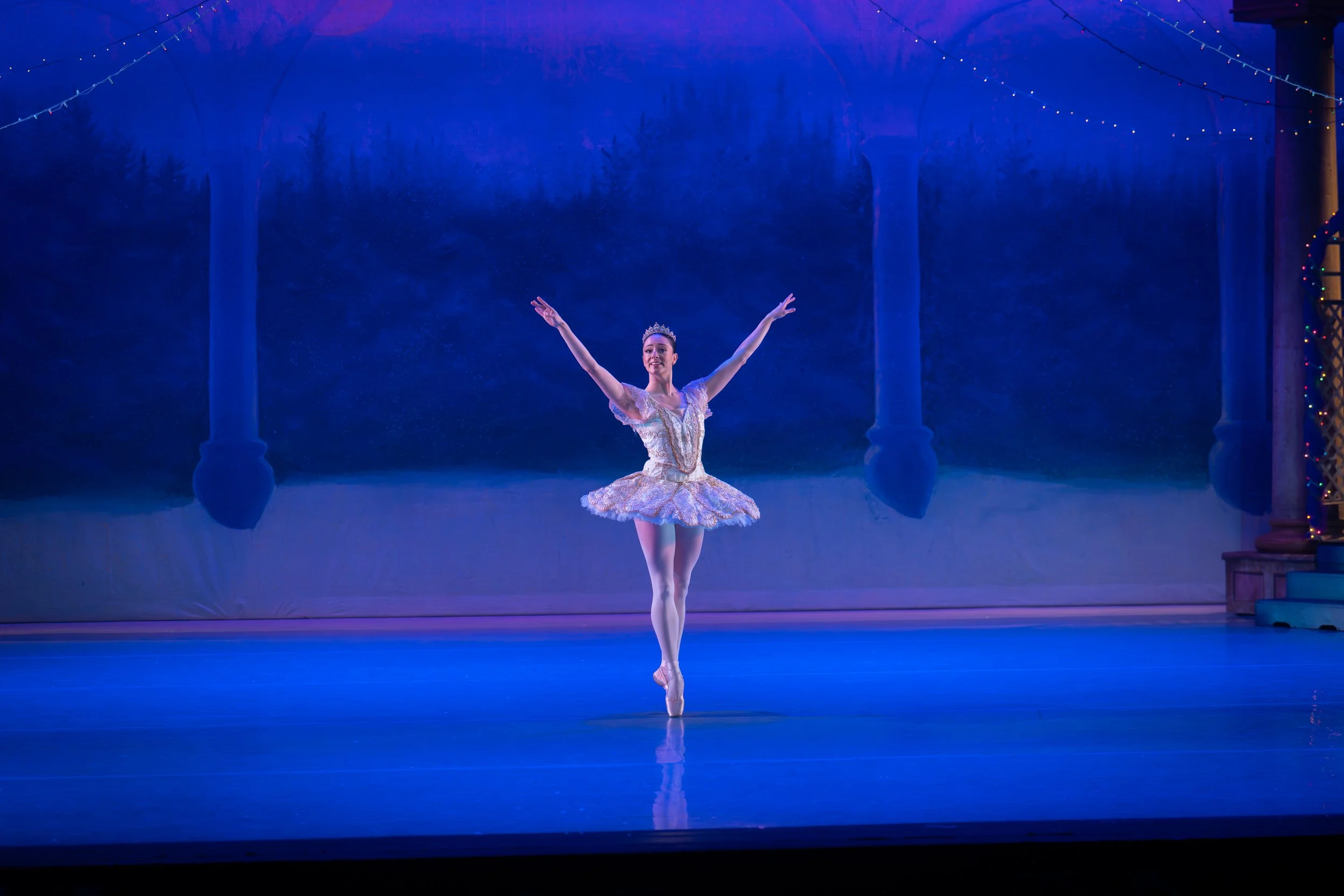 Sugar Plum 2-vingette-1.jpg